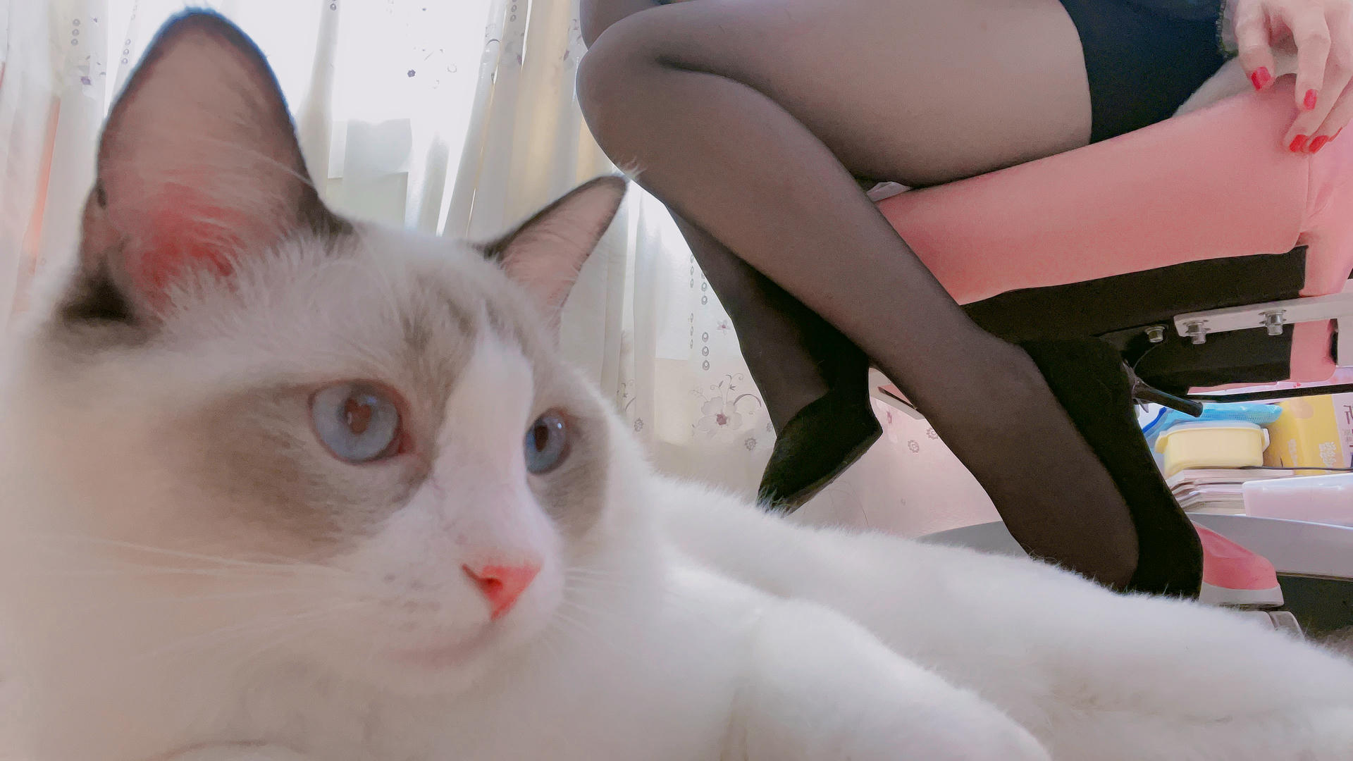 miko酱ww NO.045 自拍系列mikoの黑丝01 [229P-1.39GB]_第9集