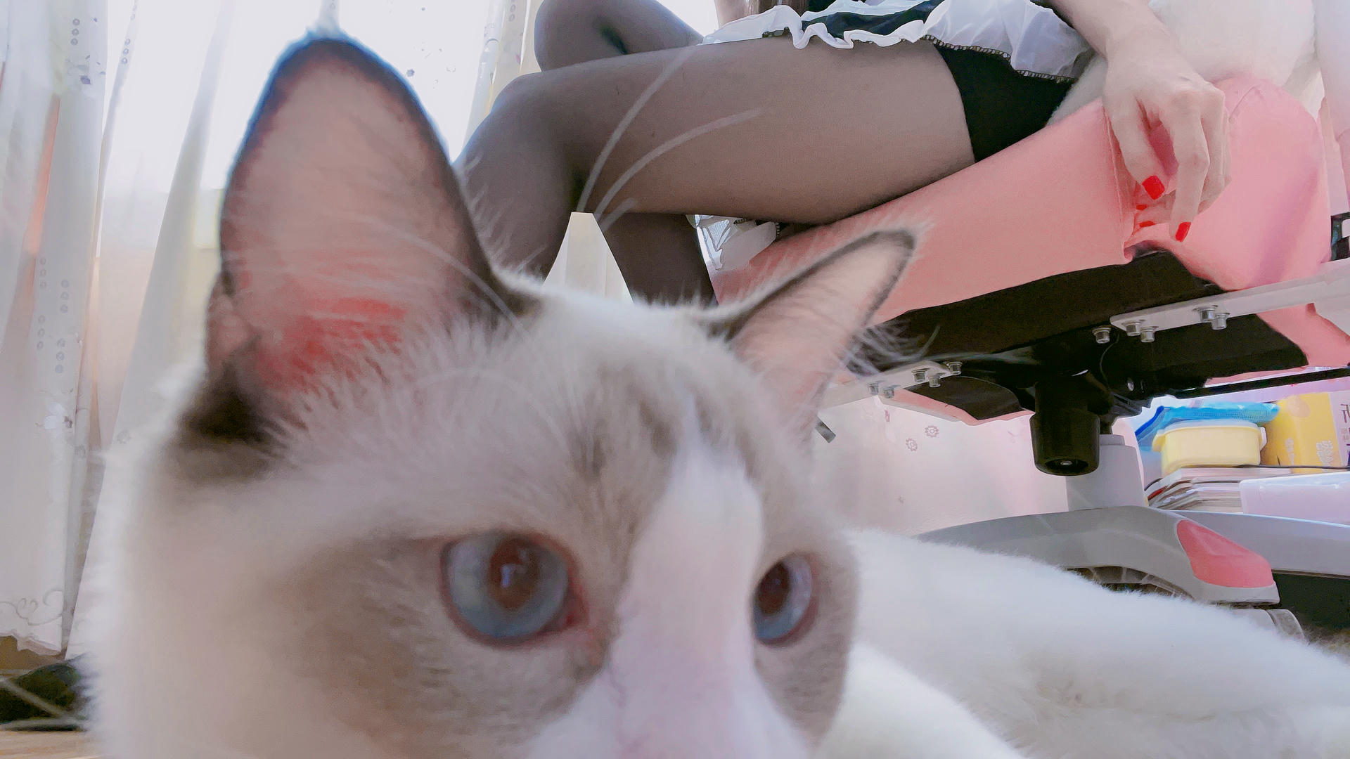 miko酱ww NO.045 自拍系列mikoの黑丝01 [229P-1.39GB]_第10集