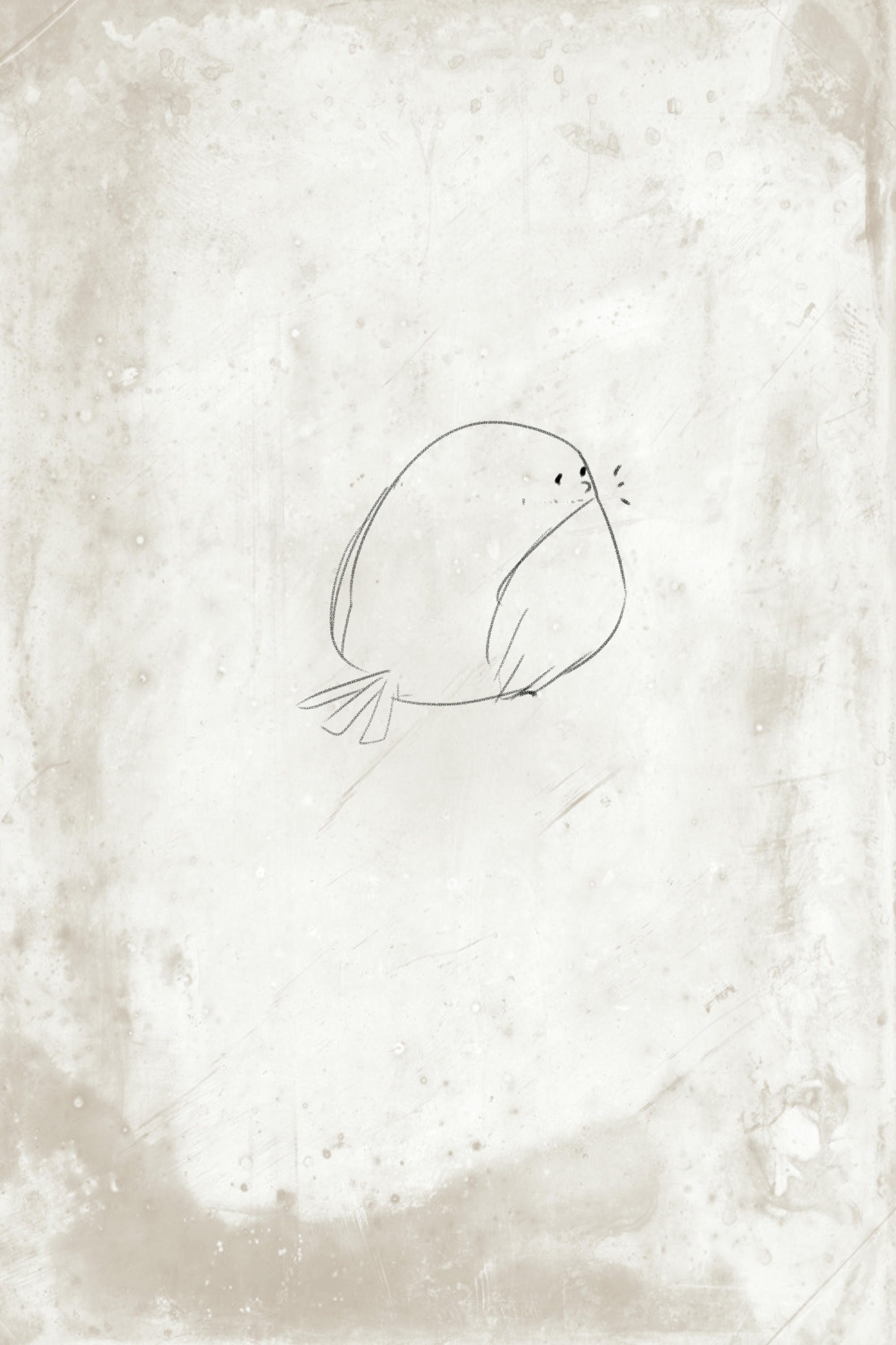 韩国美女-Mimmi NO.039 (밈미) Vol.2 My small bird [135P／1.5GB]_第5集