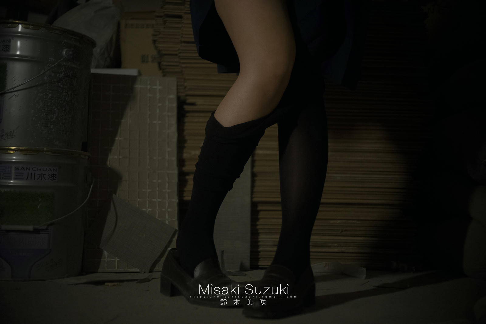 NO.253 铃木美咲(Misaki Suzuki) - 被强迫的羞耻体验 45p+6v_第2集
