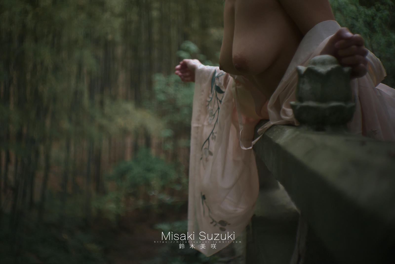 NO.316 铃木美咲(Misaki Suzuki) 汉服 软软[95P／387MB]_第2集