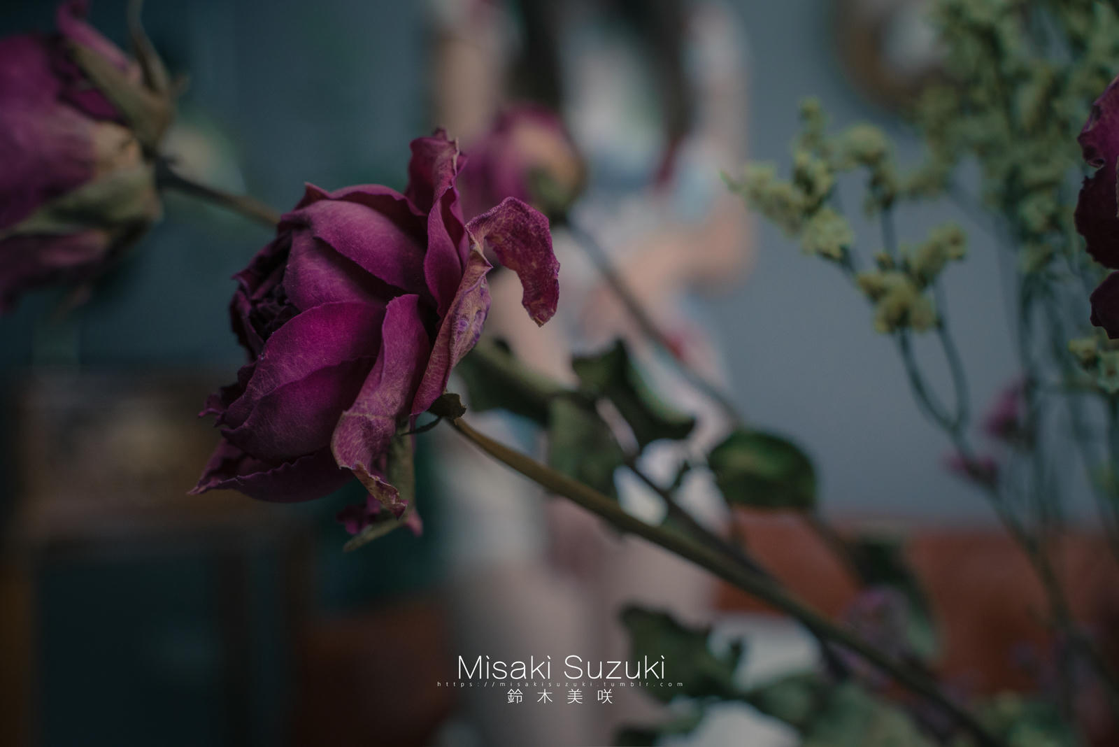 NO.338 铃木美咲(Misaki Suzuki) 浮世花信风 [45P1V 1.2GB]_第2集