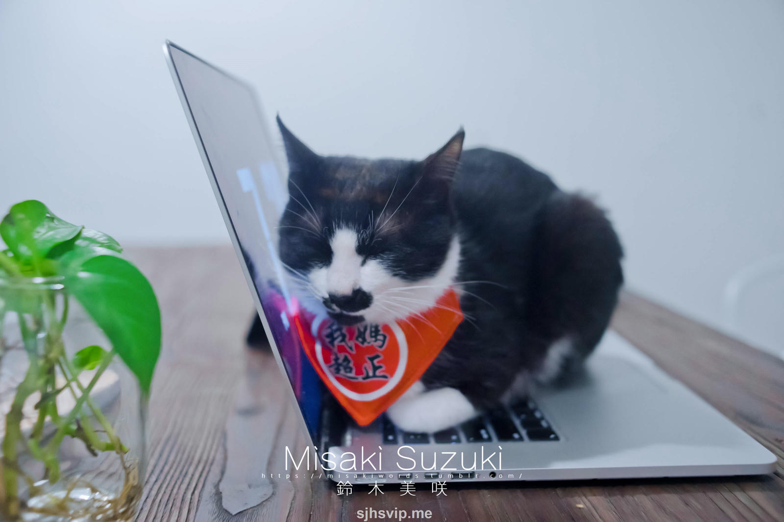 NO.180 铃木美咲(Misaki Suzuki) - 完全M男的下仆生活-羞耻！在咖啡厅里 53P+3V_第2集