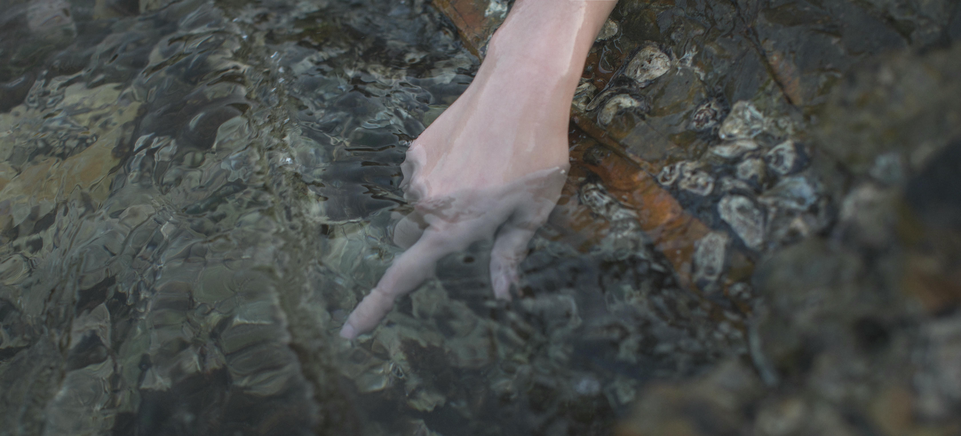 南桃Momoko NO.002 绫波丽白裙 [25P-155MB]_第1集