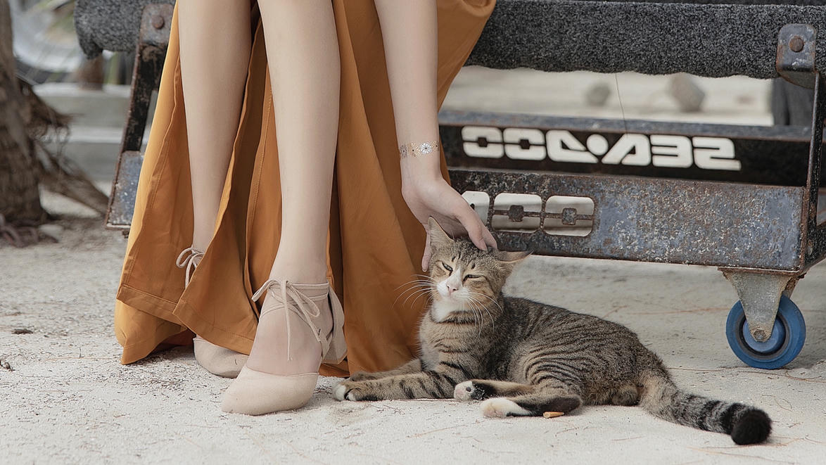 南桃Momoko NO.055 黄裤 [10P-11MB]_第1集