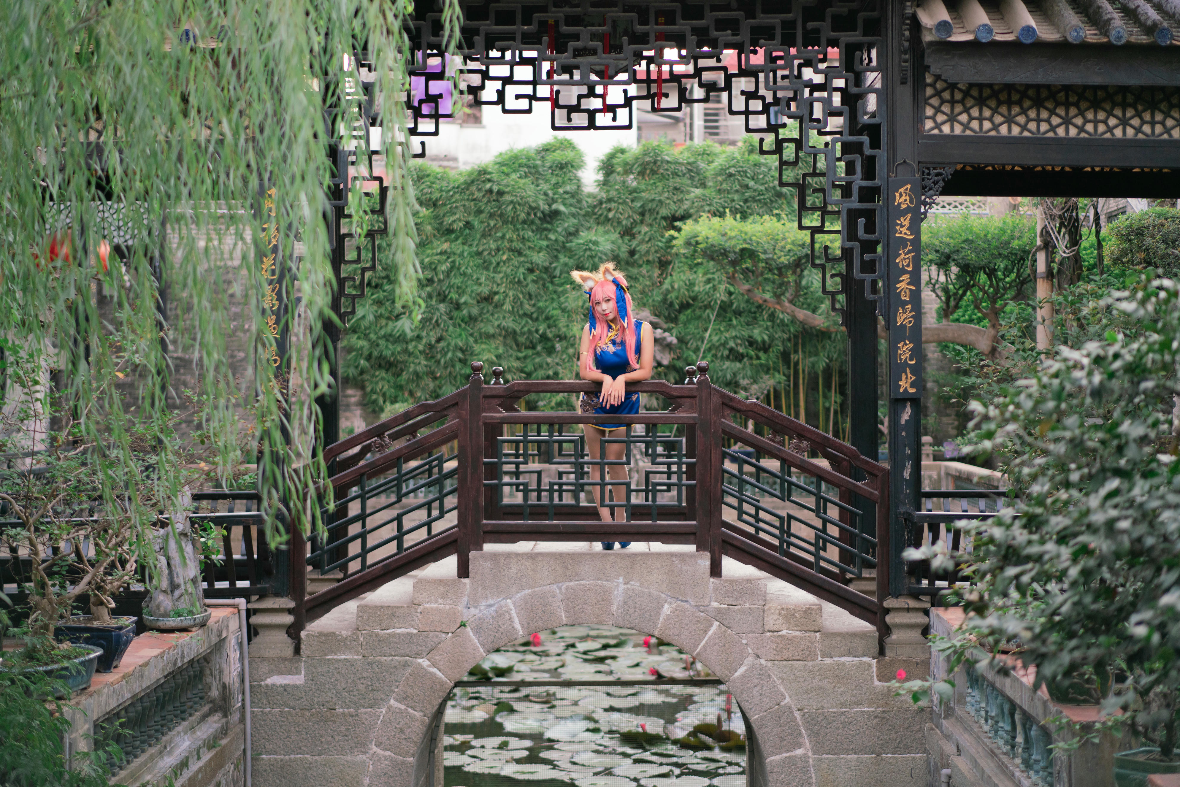 Money冷冷 NO.004 玉藻前旗袍 [17P-164MB]_第1集