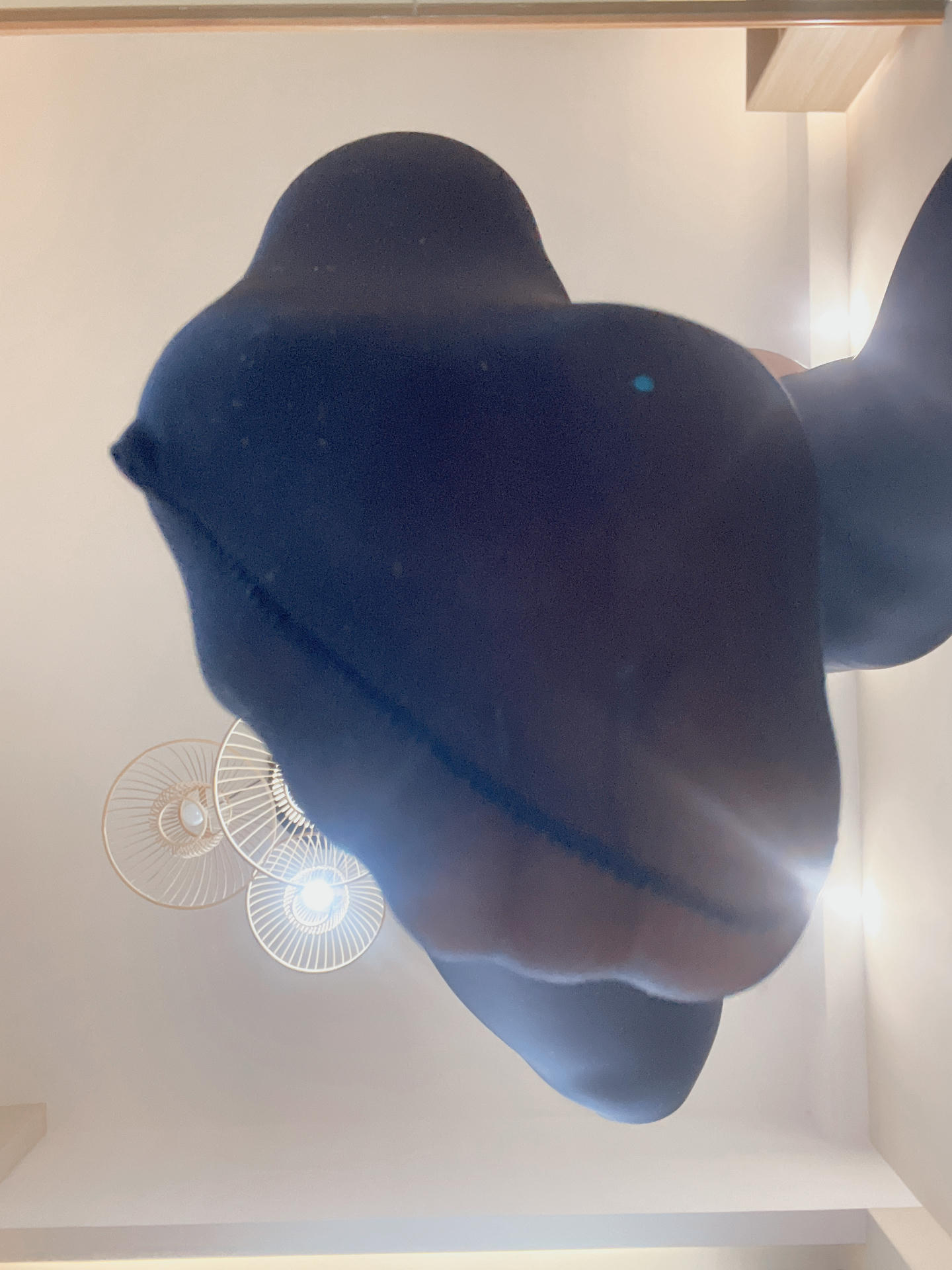 Money冷冷 NO.041 吊带高叉 [83P3V 3.62GB]_第3集