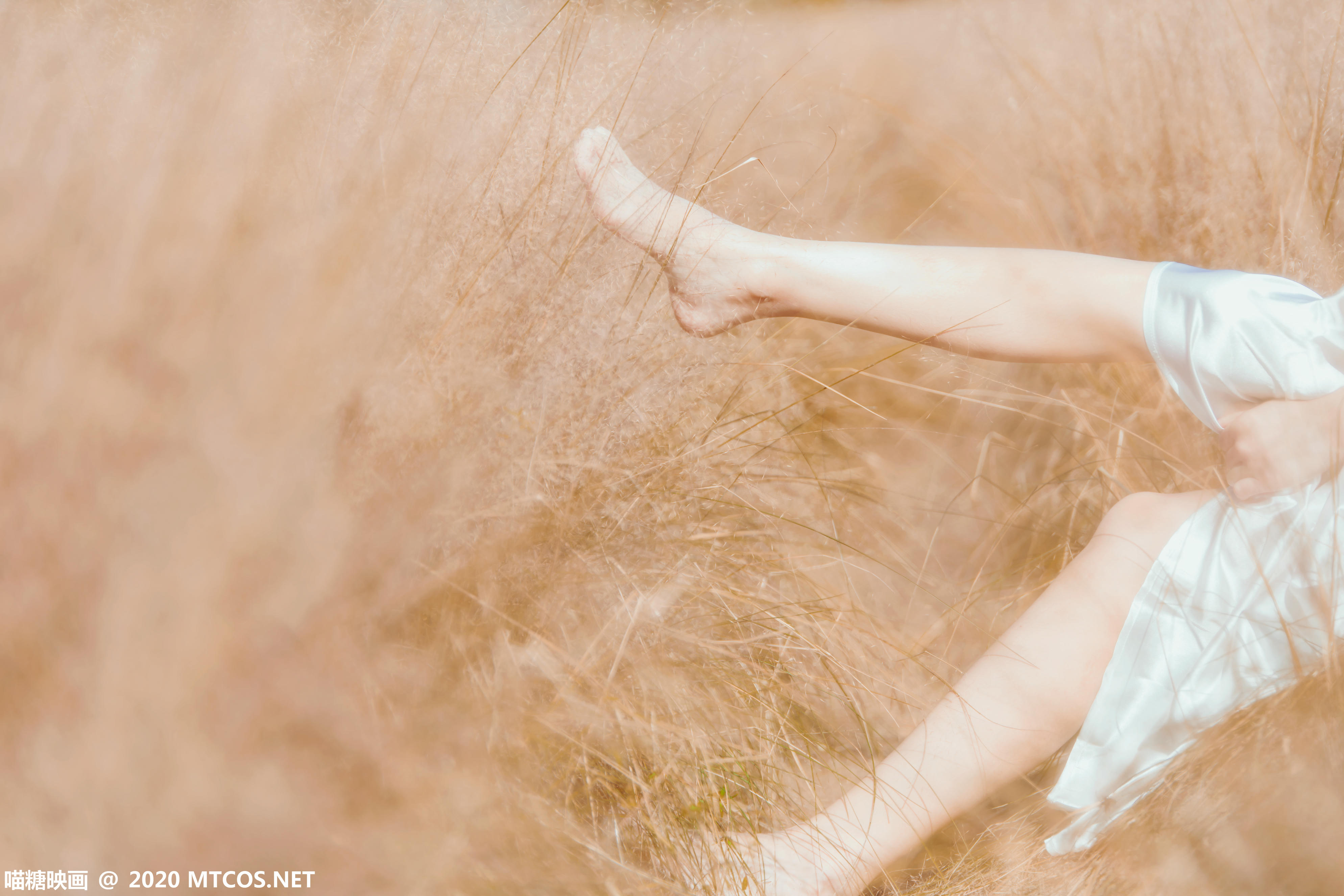 [喵糖映画] VOL.224 晚秋的原野[39P／871MB]_第1集