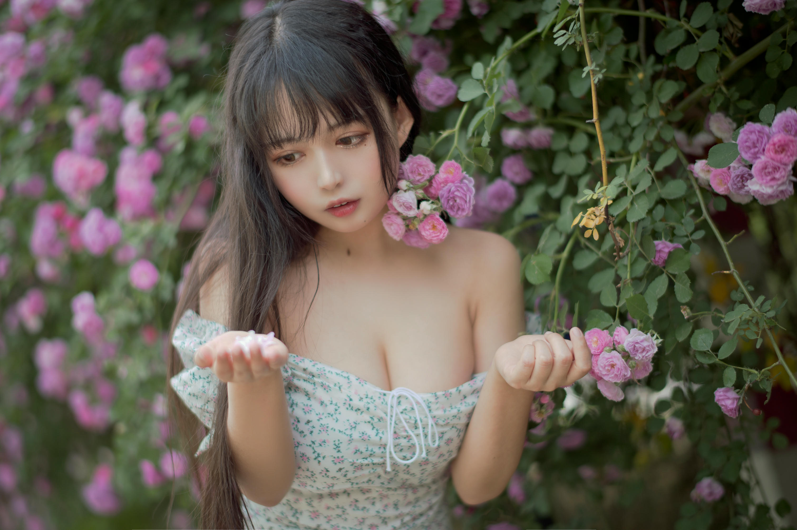 [喵糖映画] VOL.338 蔷薇少女[24P／257MB]_第1集