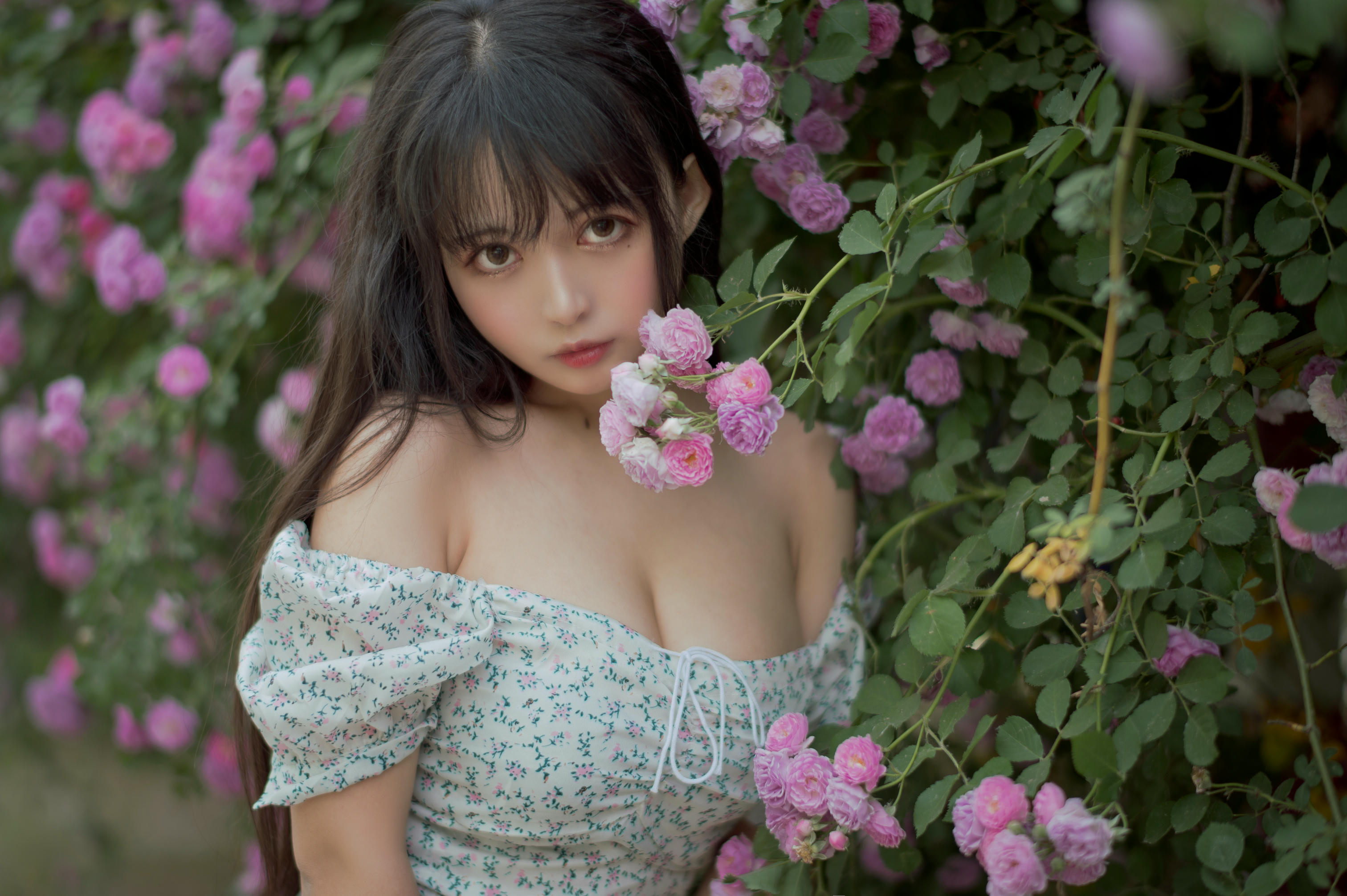 [喵糖映画] VOL.338 蔷薇少女[24P／257MB]_第1集