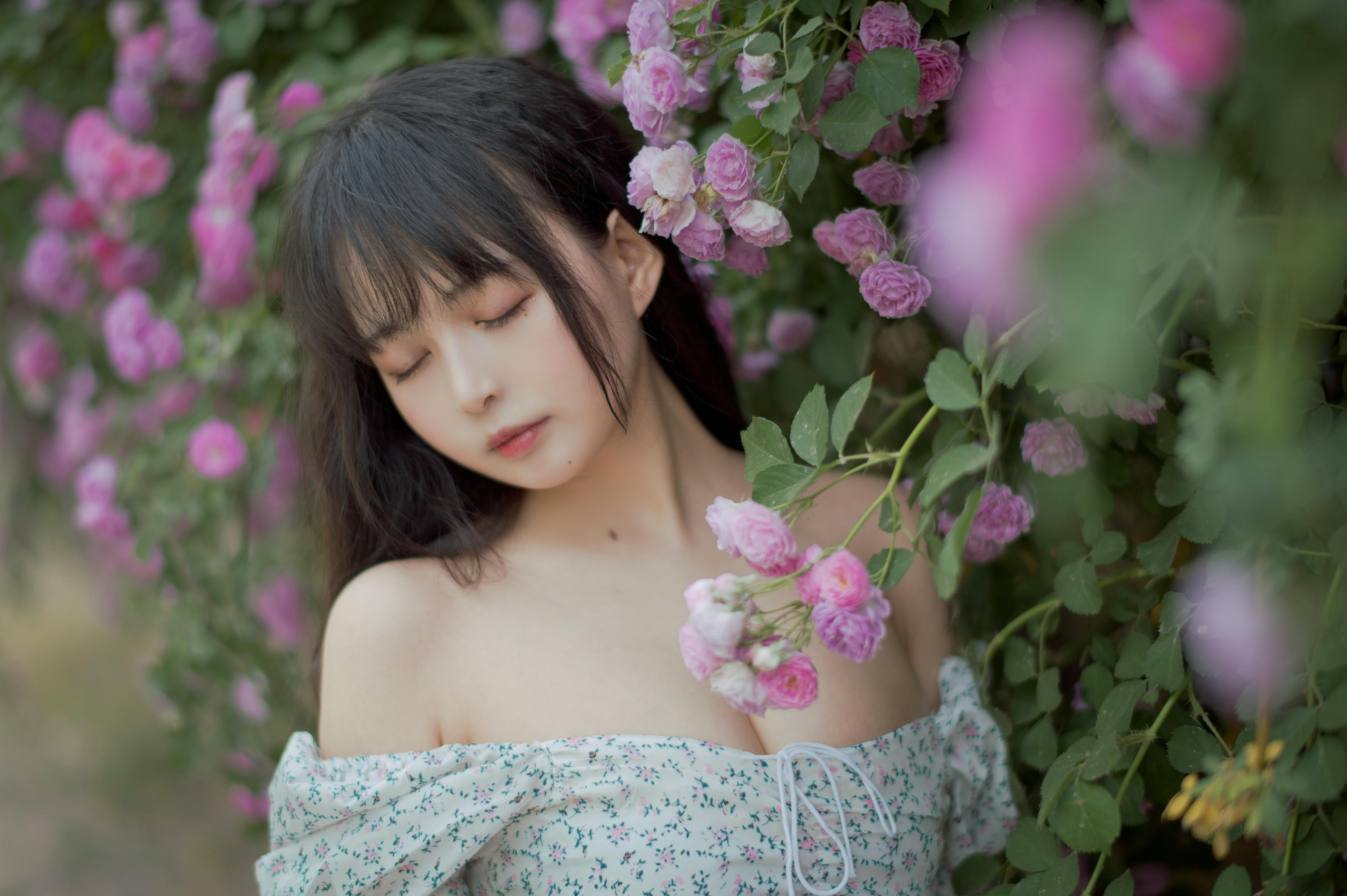 [喵糖映画] VOL.338 蔷薇少女[24P／257MB]_第1集