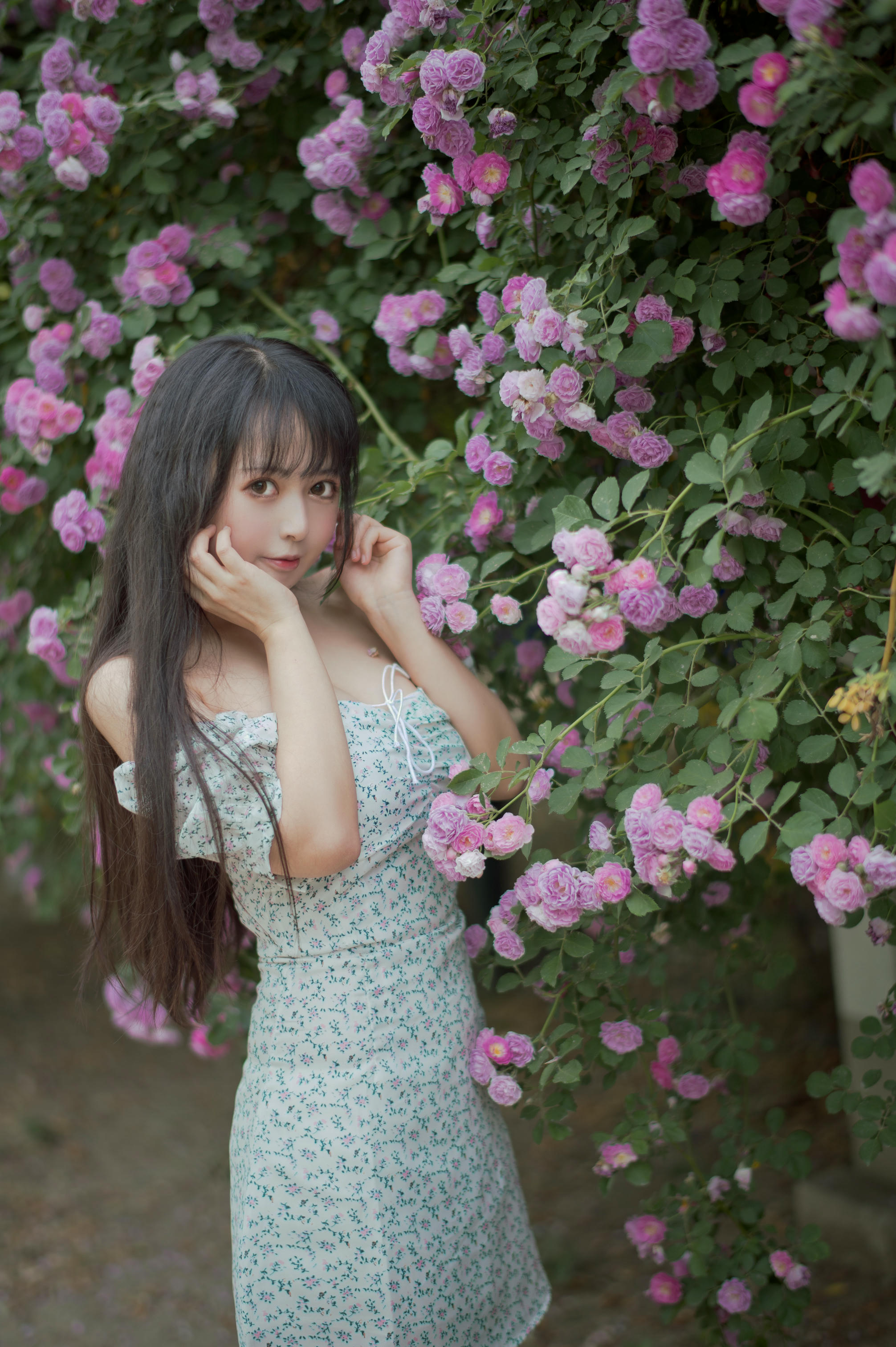 [喵糖映画] VOL.338 蔷薇少女[24P／257MB]_第1集