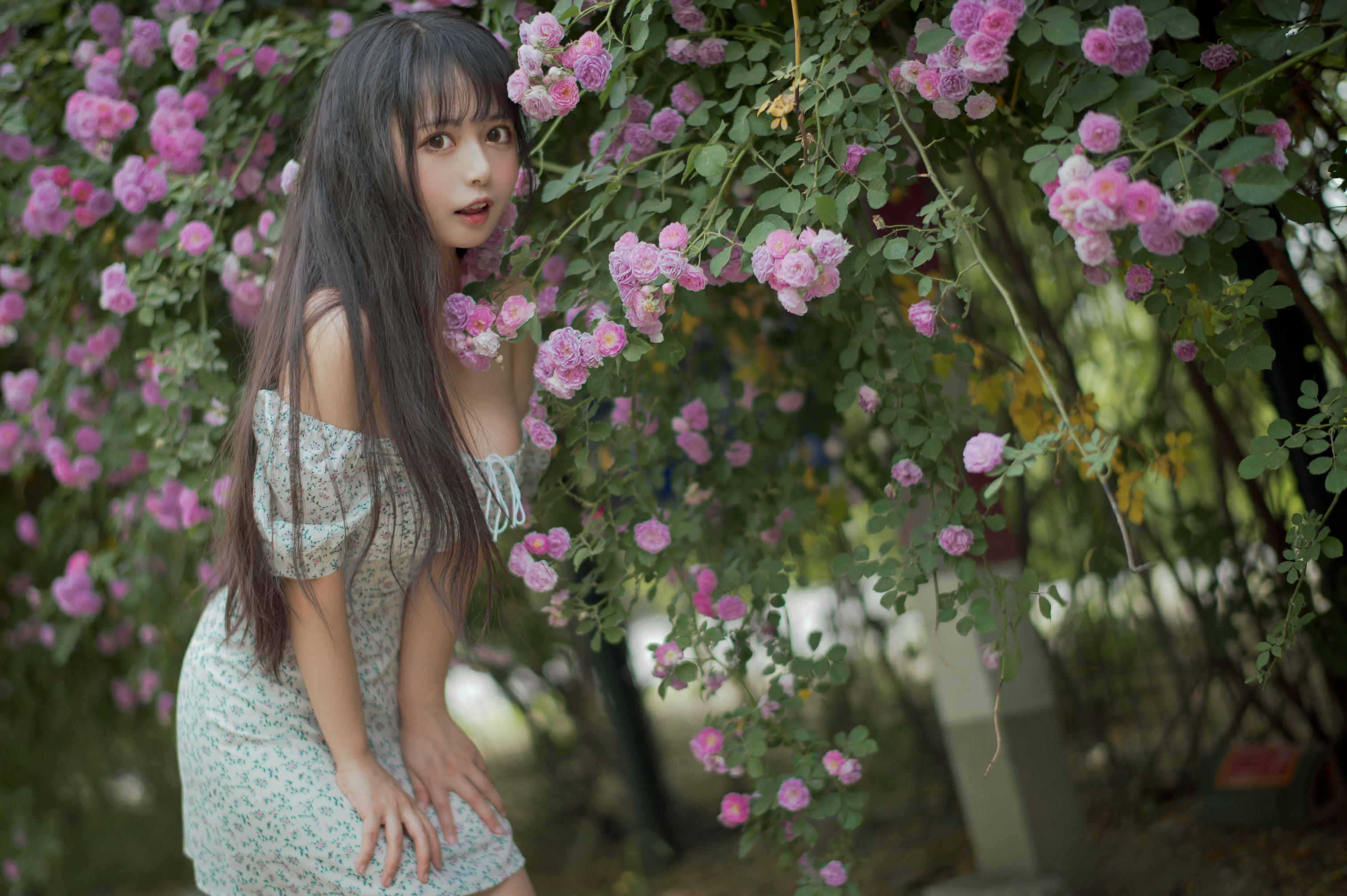 [喵糖映画] VOL.338 蔷薇少女[24P／257MB]_第1集