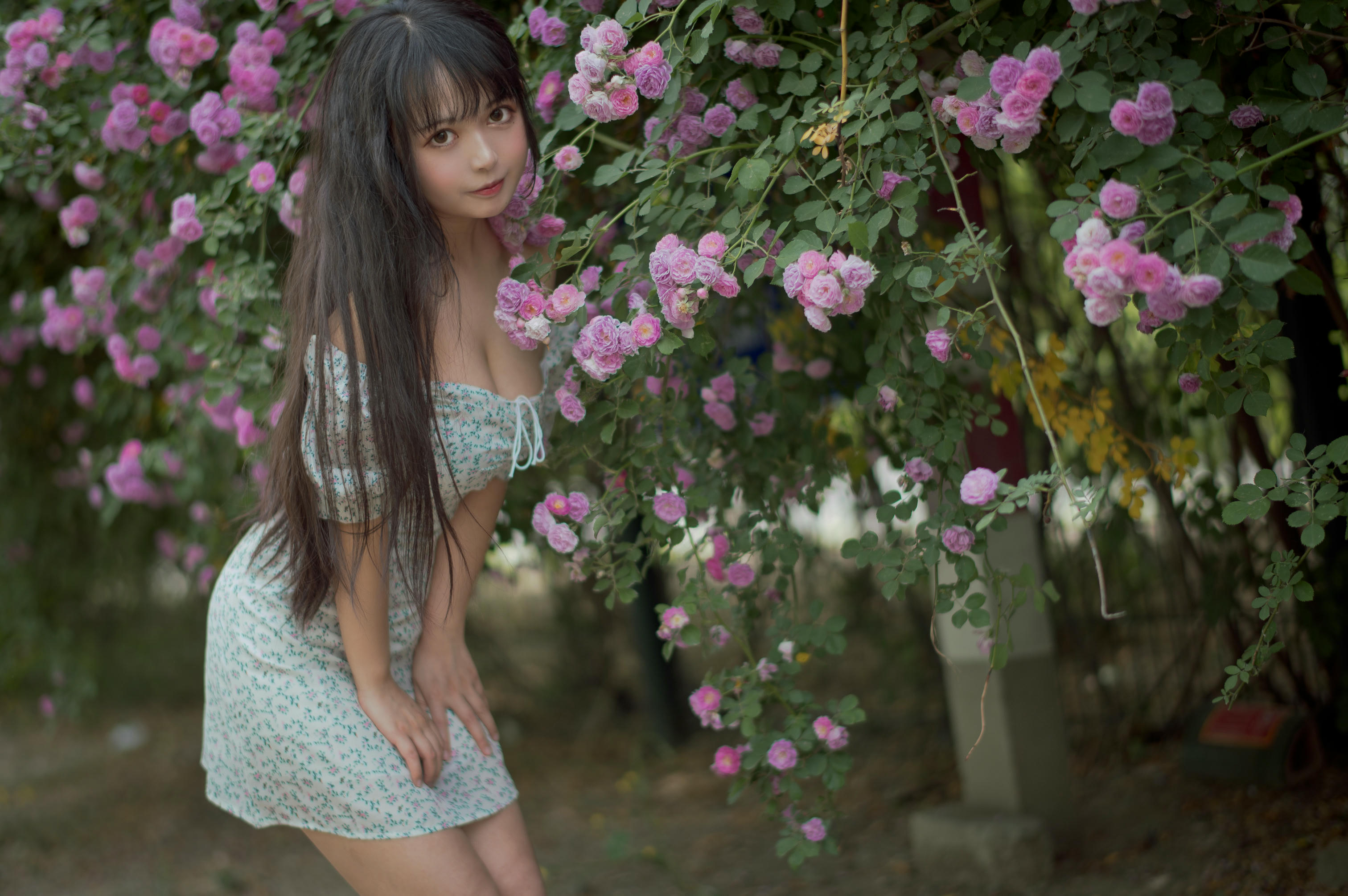 [喵糖映画] VOL.338 蔷薇少女[24P／257MB]_第1集