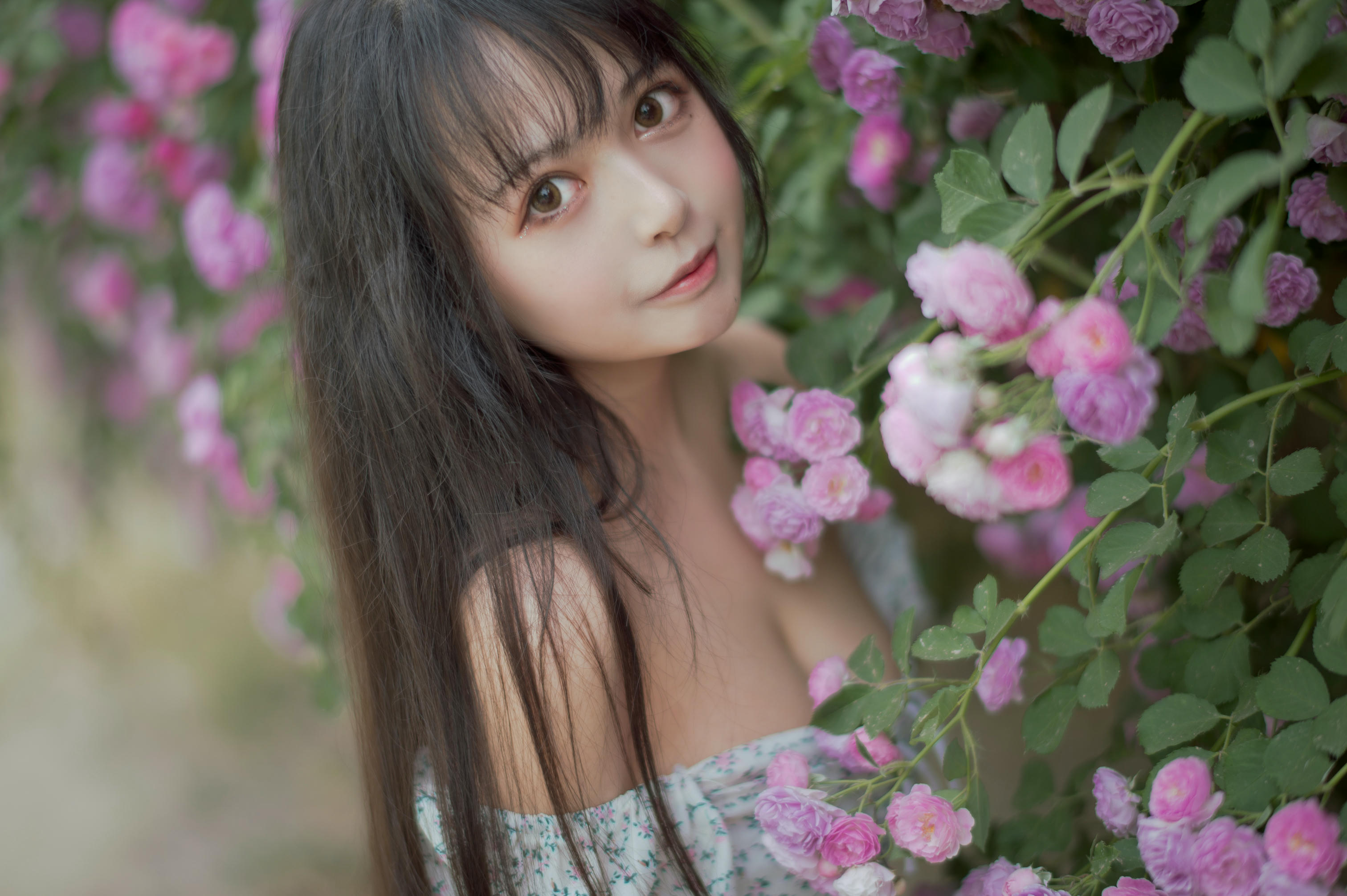 [喵糖映画] VOL.338 蔷薇少女[24P／257MB]_第1集