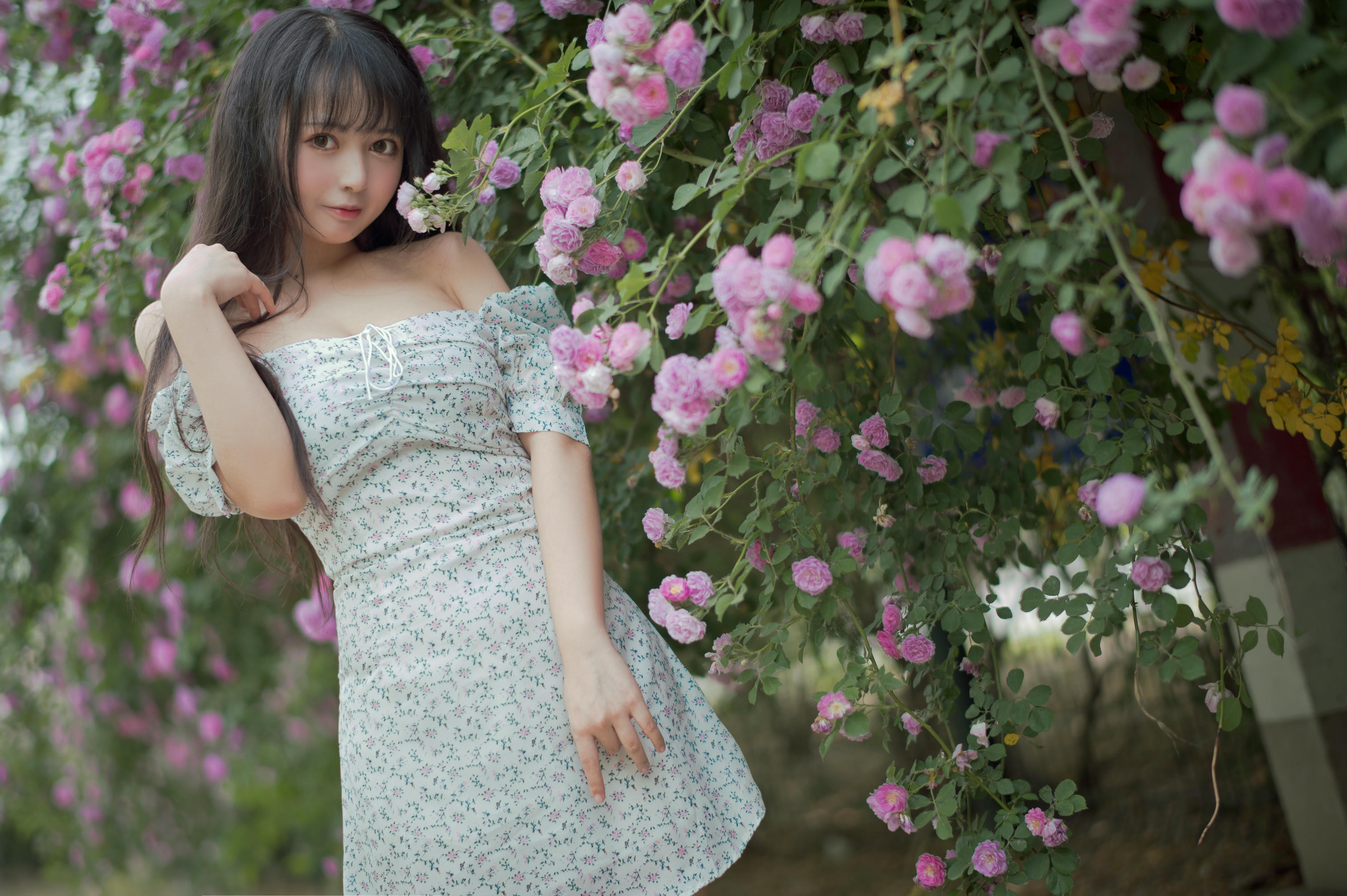 [喵糖映画] VOL.338 蔷薇少女[24P／257MB]_第1集