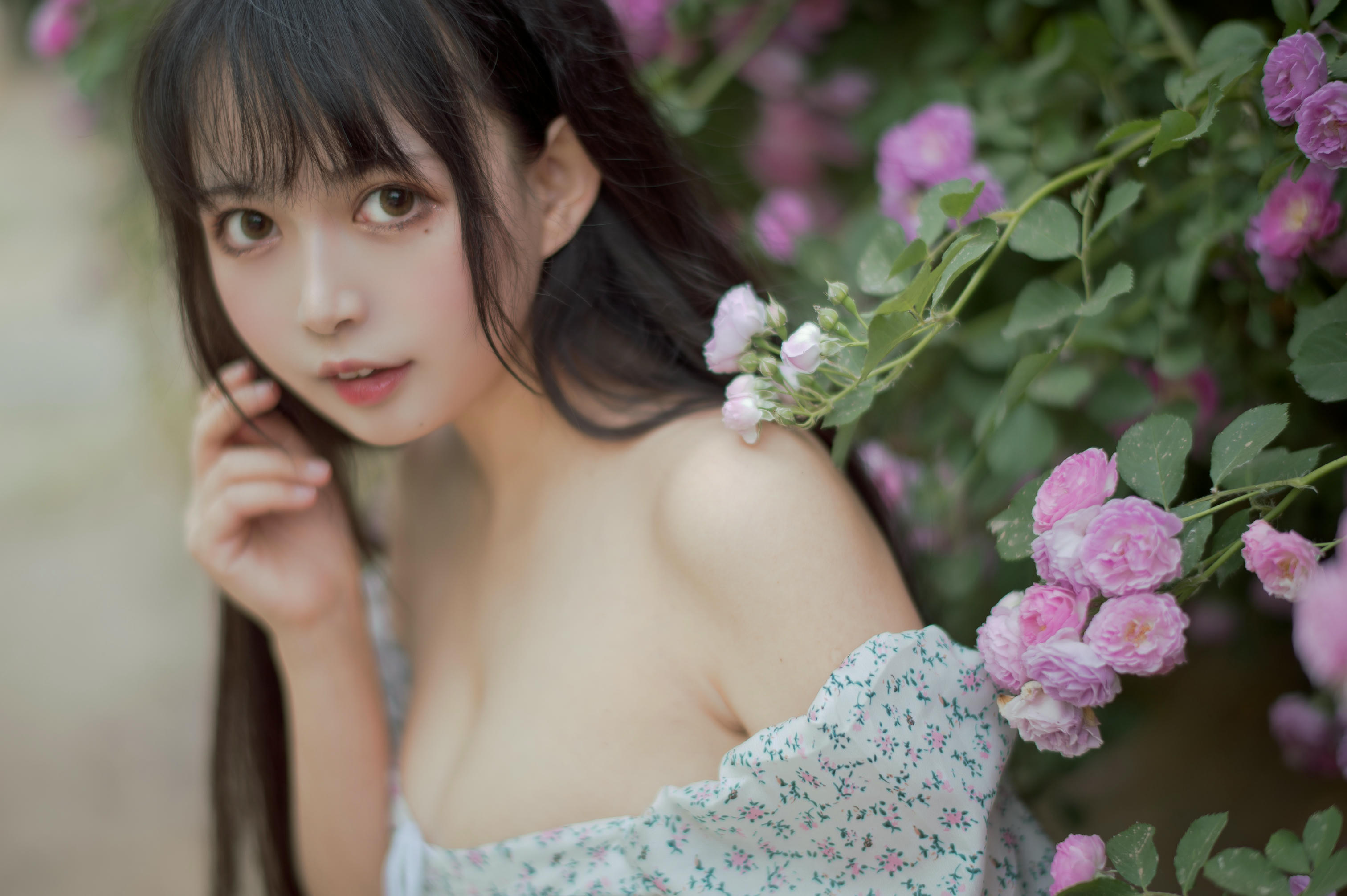 [喵糖映画] VOL.338 蔷薇少女[24P／257MB]_第1集