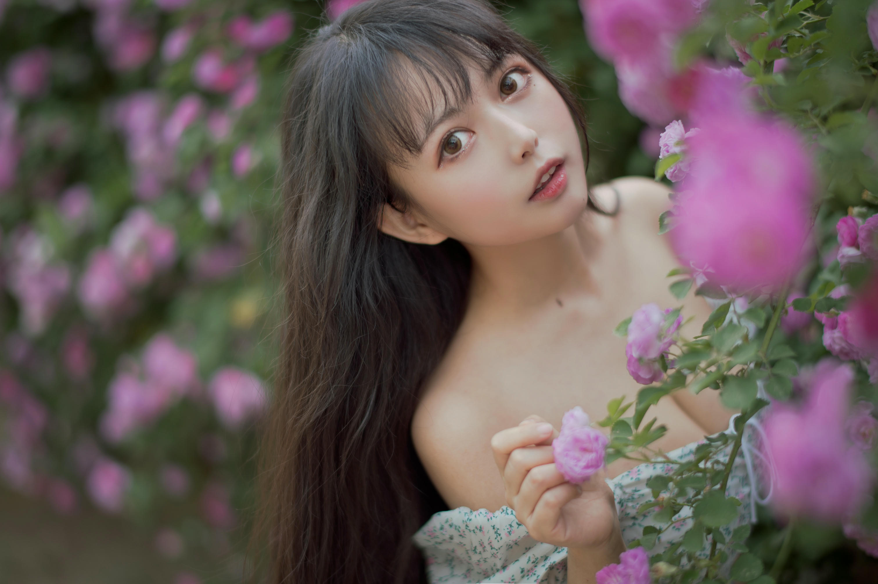 [喵糖映画] VOL.338 蔷薇少女[24P／257MB]_第1集