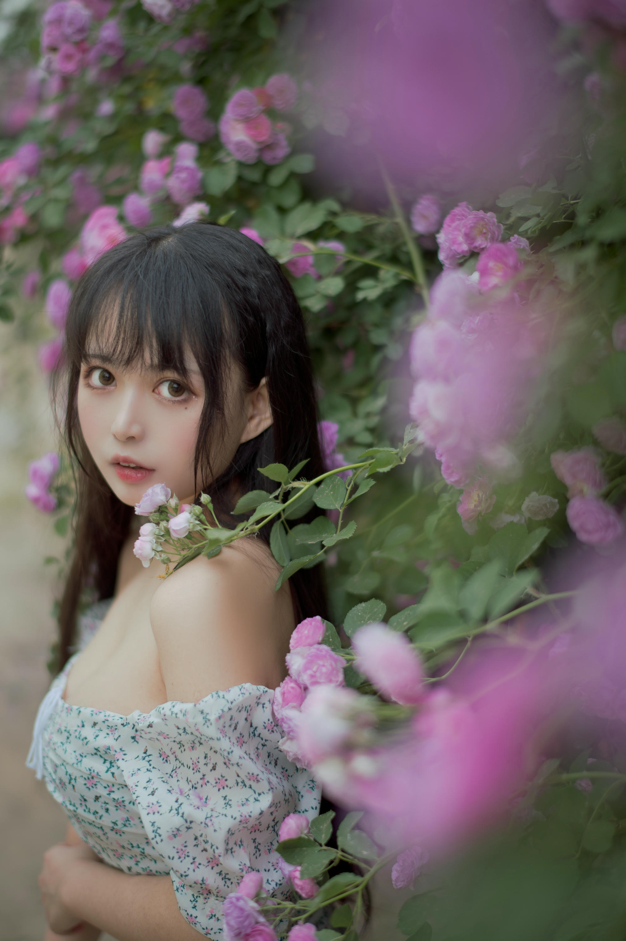 [喵糖映画] VOL.338 蔷薇少女[24P／257MB]_第1集