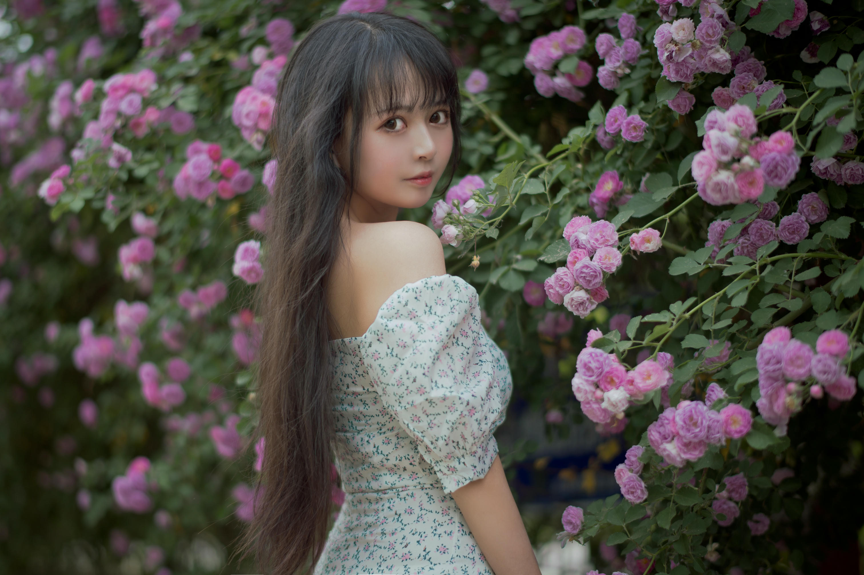 [喵糖映画] VOL.338 蔷薇少女[24P／257MB]_第2集