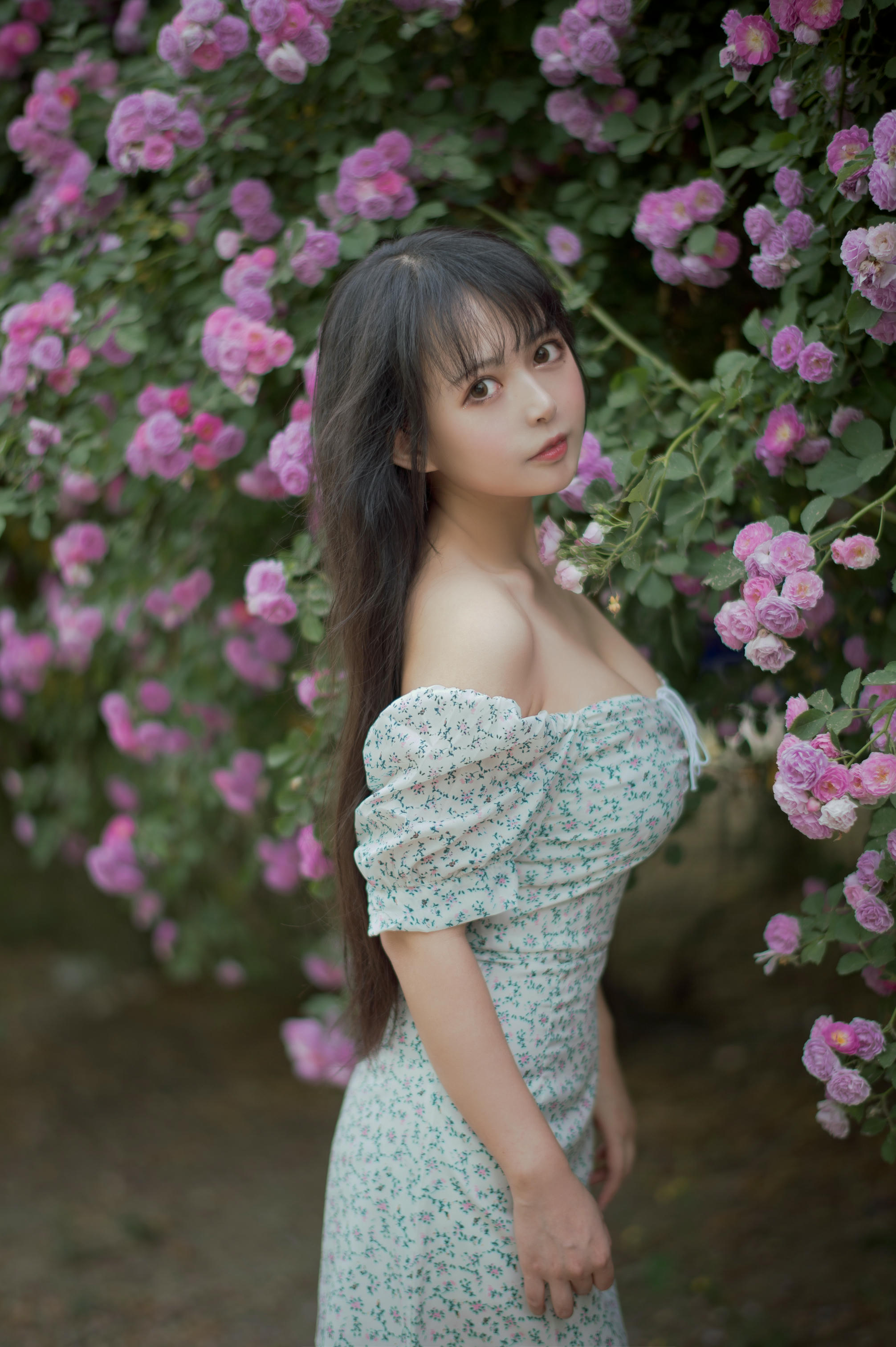 [喵糖映画] VOL.338 蔷薇少女[24P／257MB]_第2集