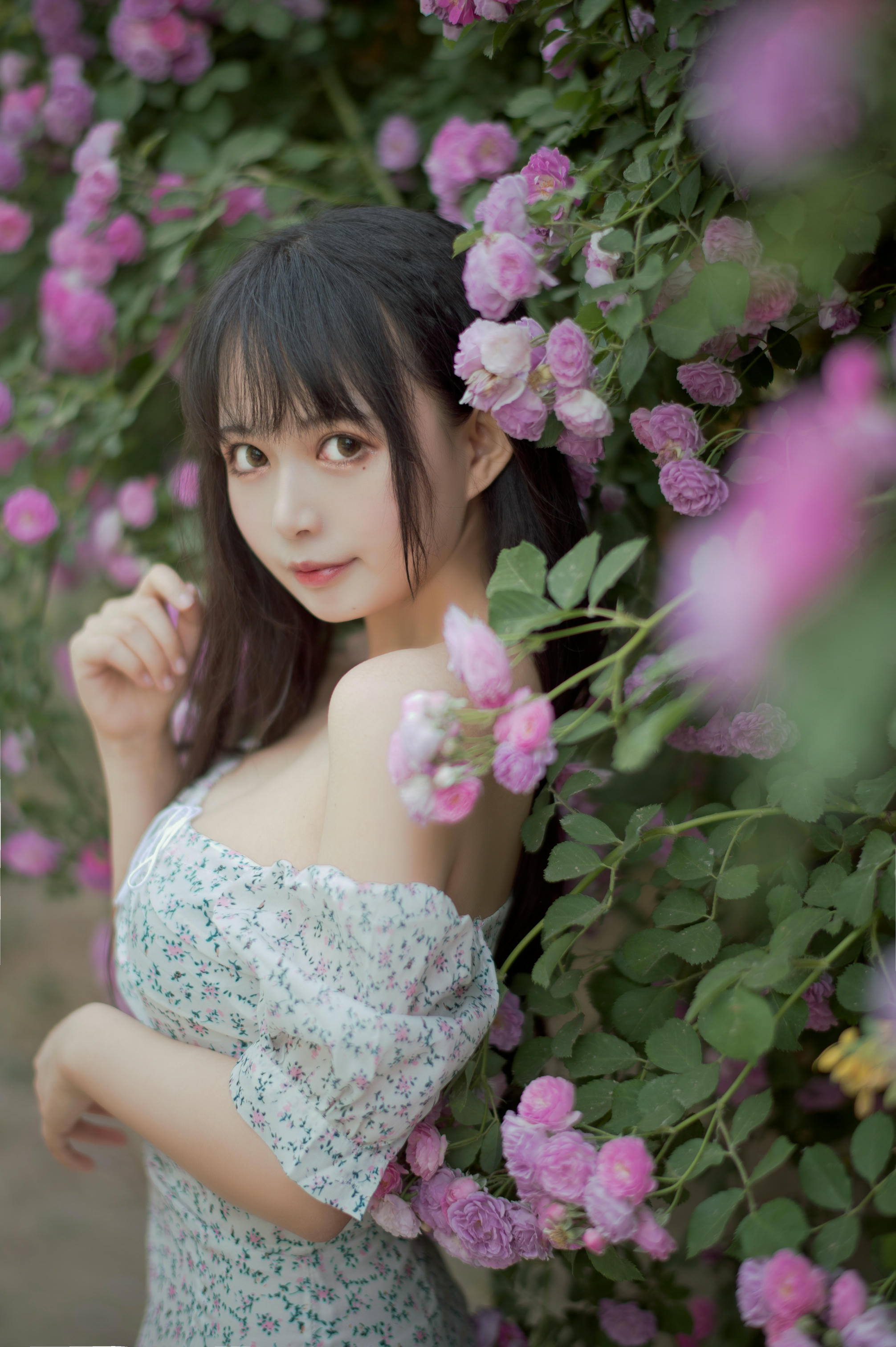 [喵糖映画] VOL.338 蔷薇少女[24P／257MB]_第2集