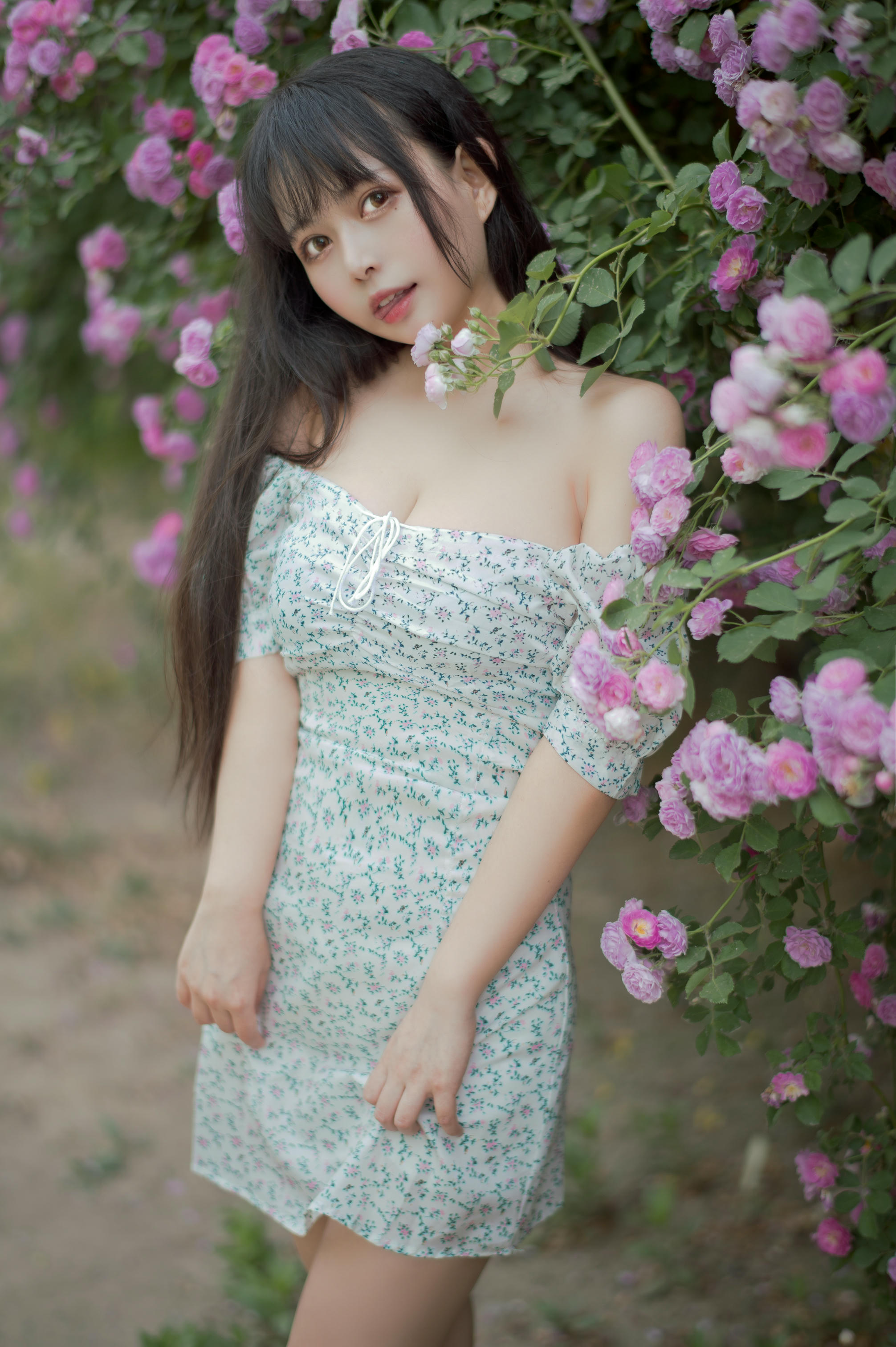 [喵糖映画] VOL.338 蔷薇少女[24P／257MB]_第2集