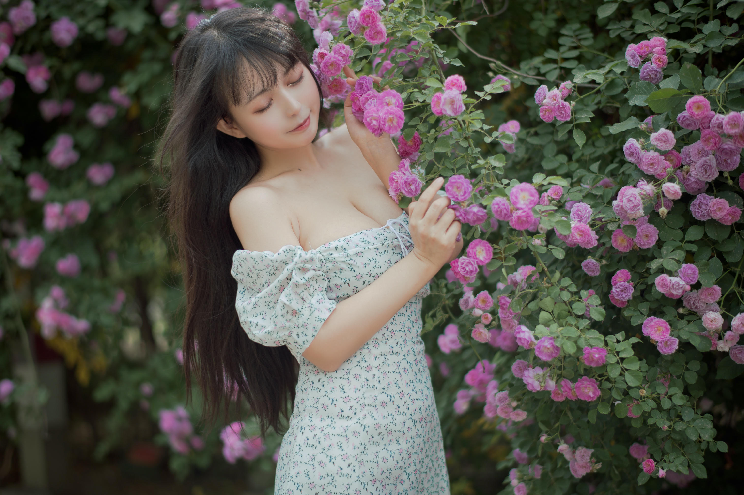 [喵糖映画] VOL.338 蔷薇少女[24P／257MB]_第1集