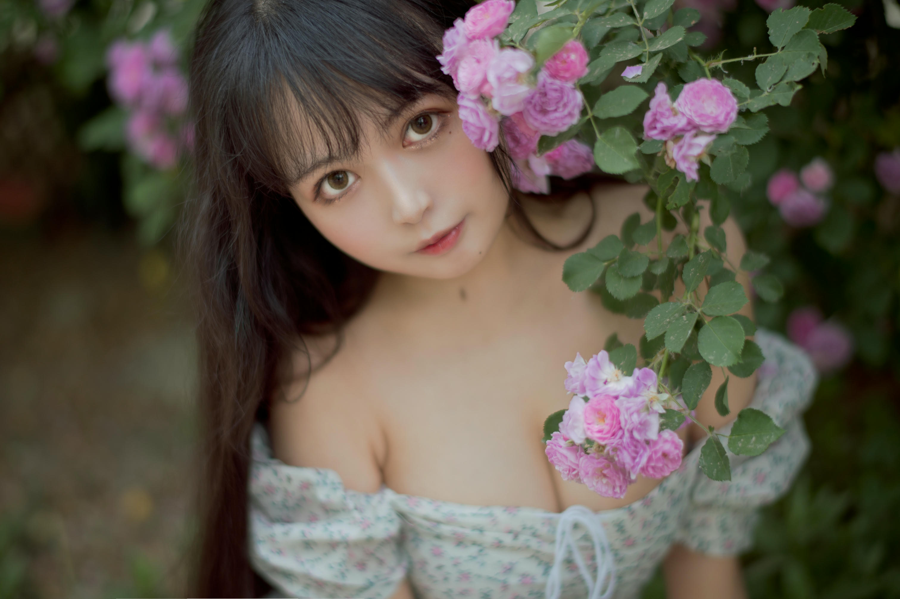 [喵糖映画] VOL.338 蔷薇少女[24P／257MB]_第1集