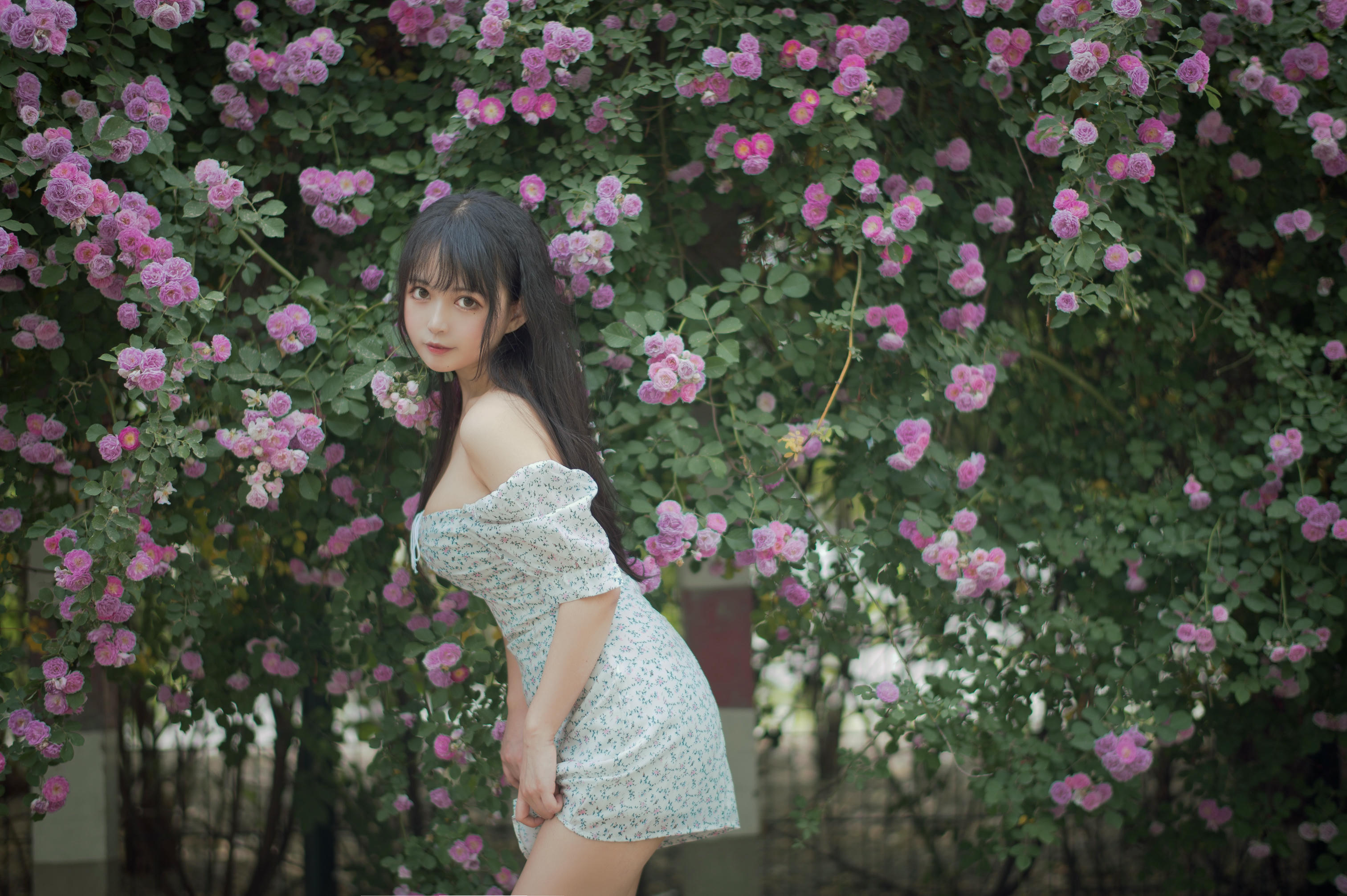 [喵糖映画] VOL.338 蔷薇少女[24P／257MB]_第1集