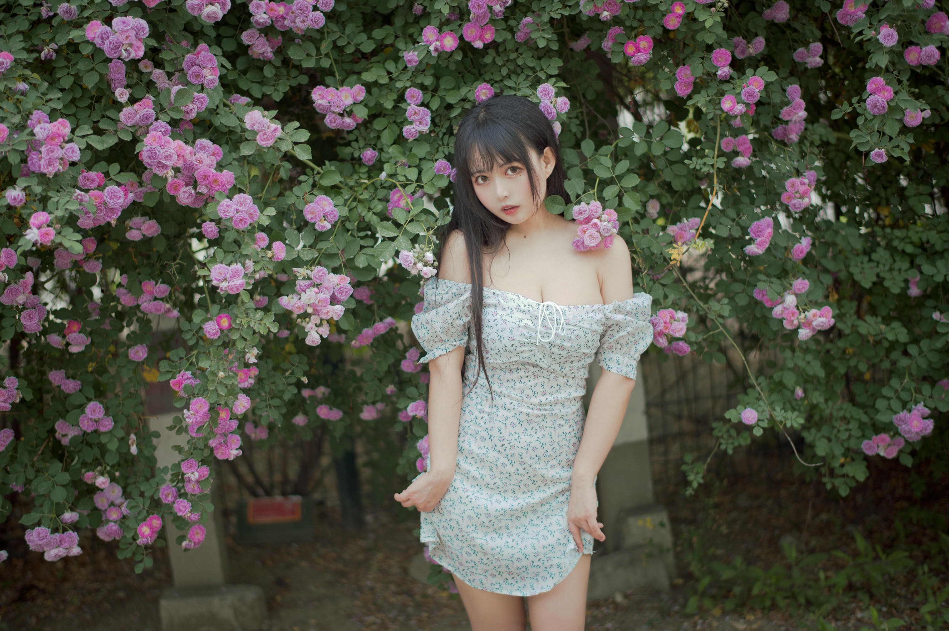 [喵糖映画] VOL.338 蔷薇少女[24P／257MB]_第1集