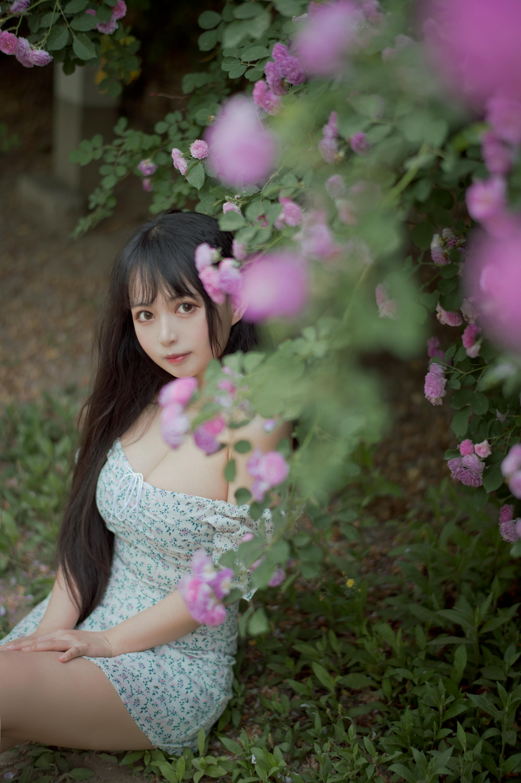 [喵糖映画] VOL.338 蔷薇少女[24P／257MB]_第1集