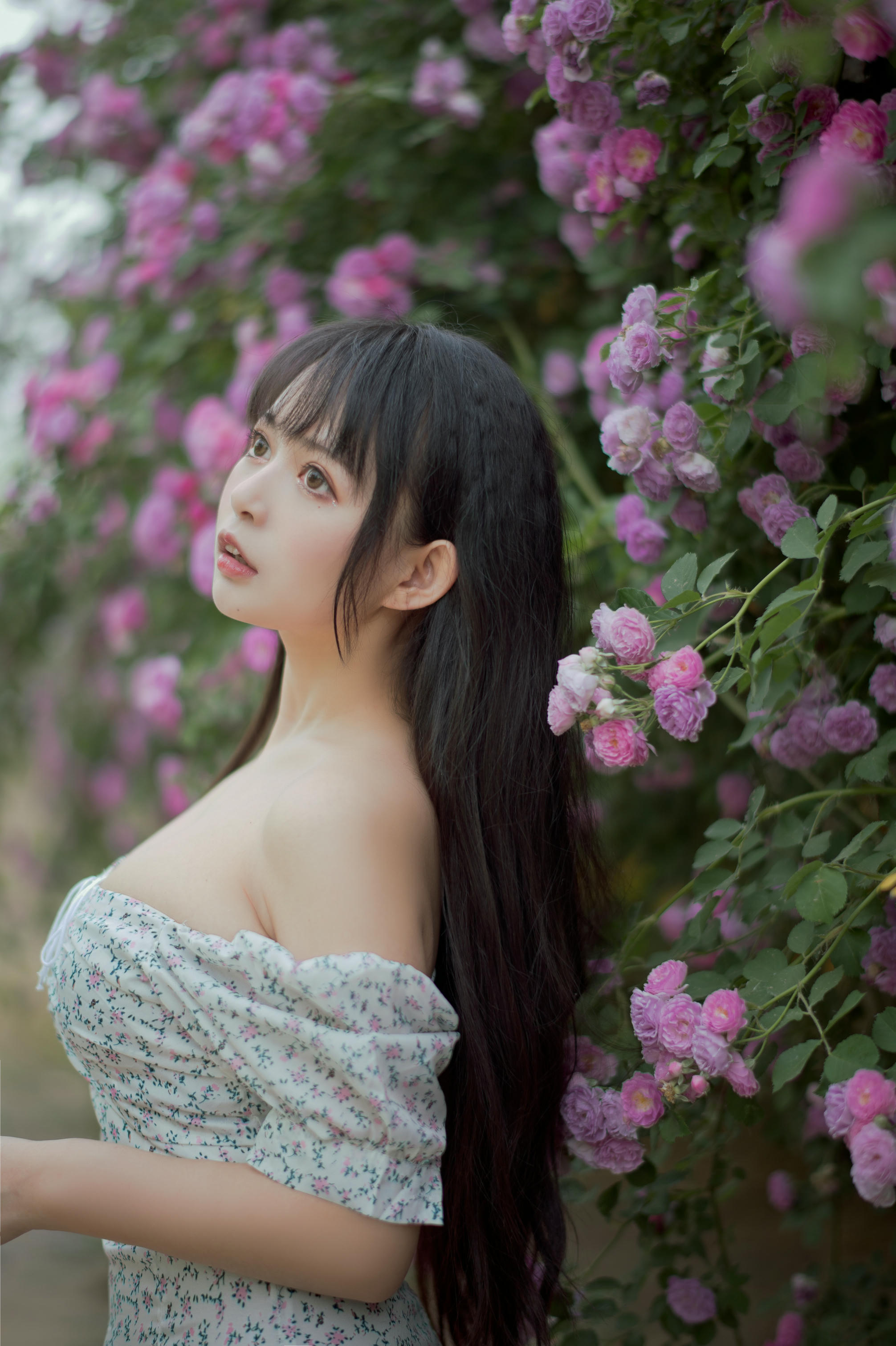 [喵糖映画] VOL.338 蔷薇少女[24P／257MB]_第1集