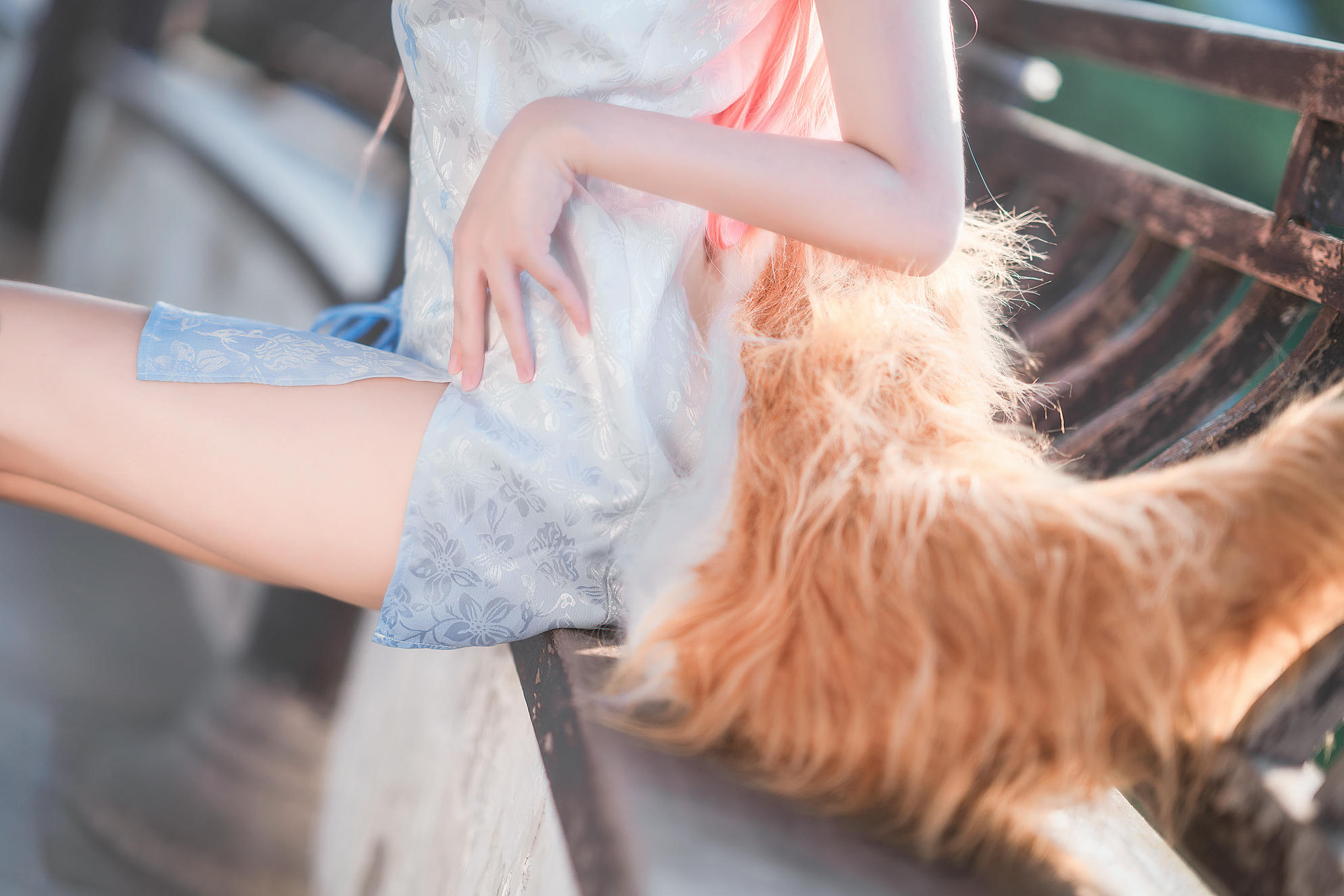 [喵糖映画] VOL.391 旗袍小狐狸[40P／347MB]_第2集