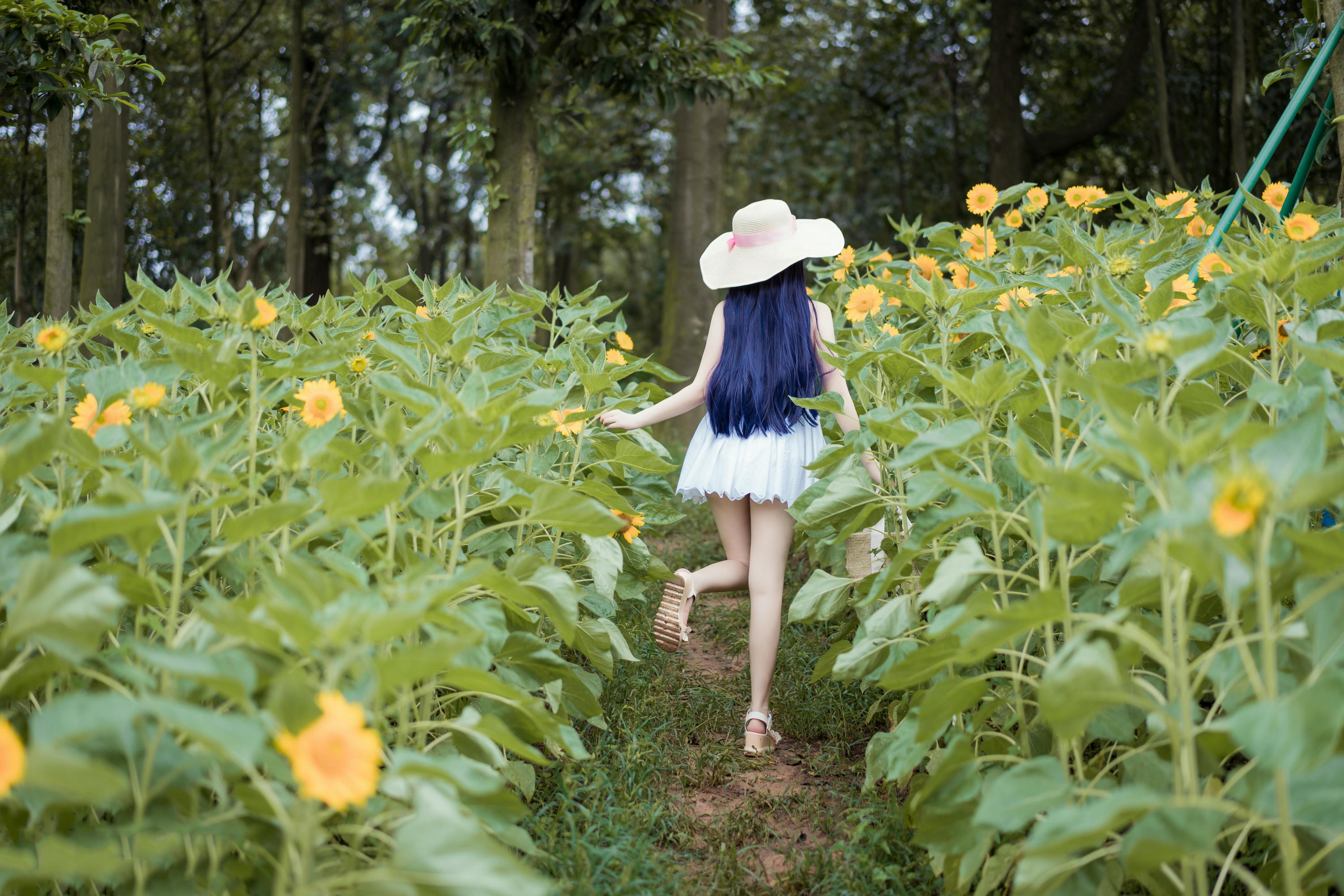 [喵糖映画] VOL.414 花园白裙[37P-402MB]_第1集