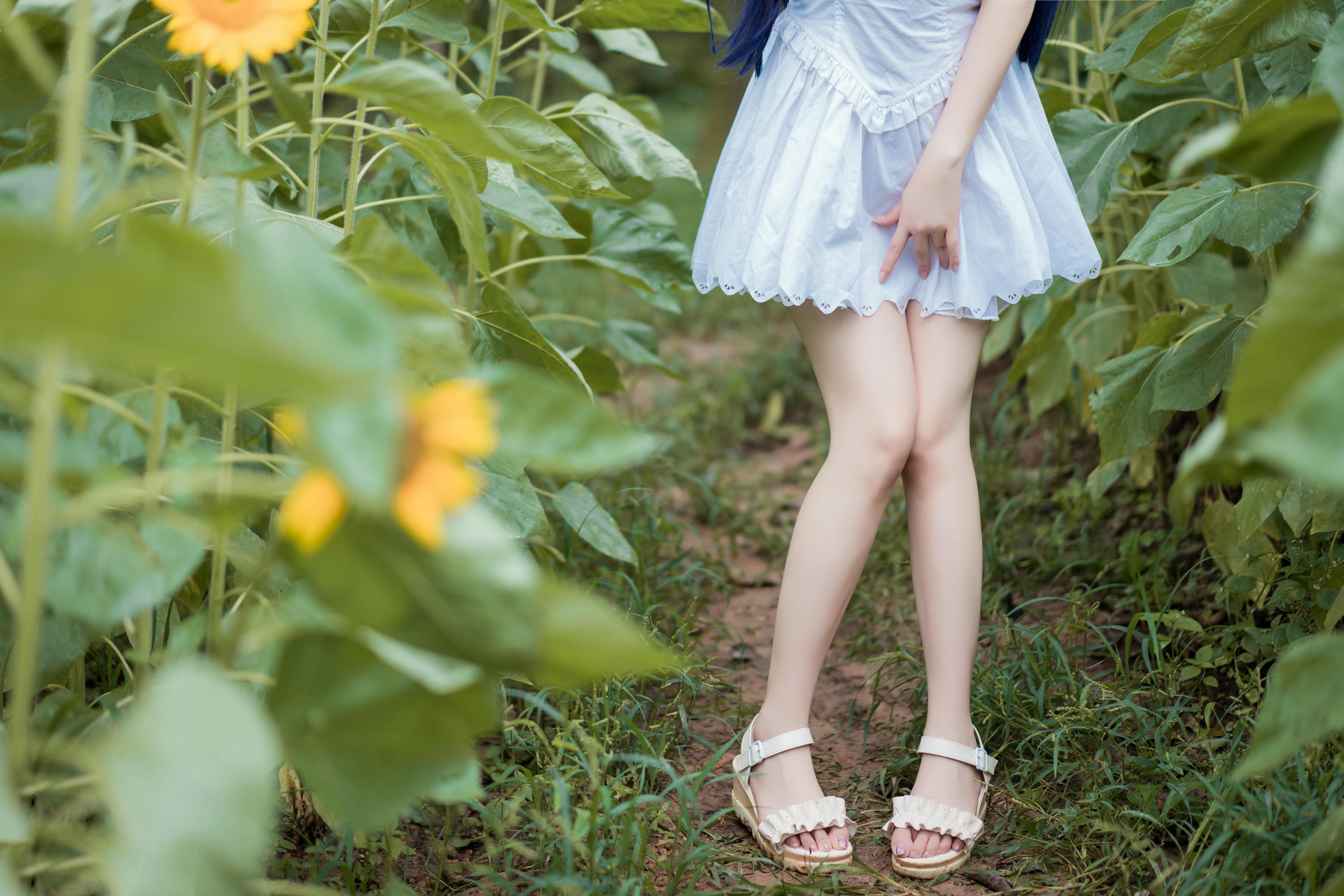 [喵糖映画] VOL.414 花园白裙[37P-402MB]_第2集