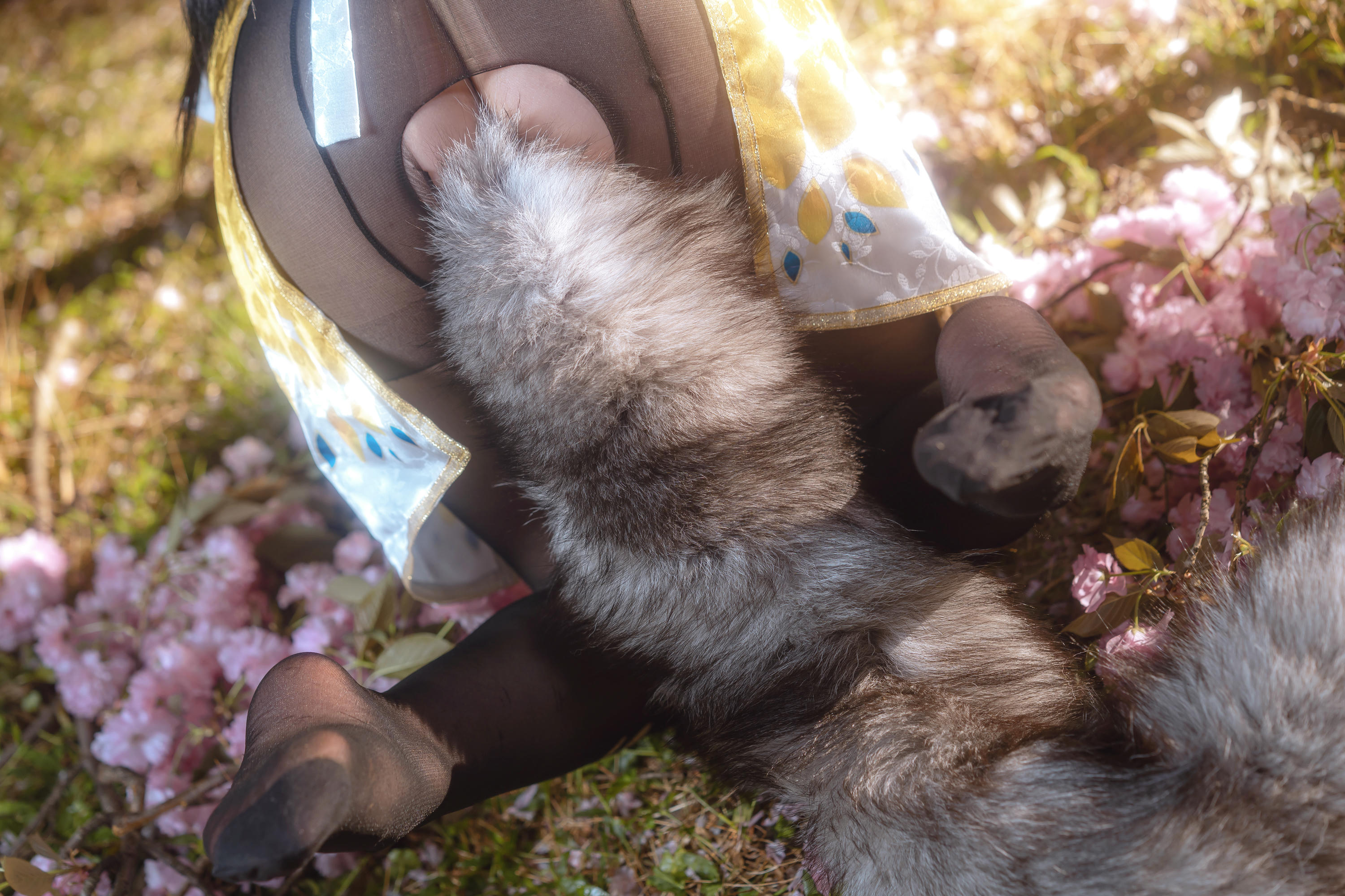 爆机少女喵小吉 NO.023 永劫无间 胡桃 [50P7V 3.38GB]-Pic_第3集