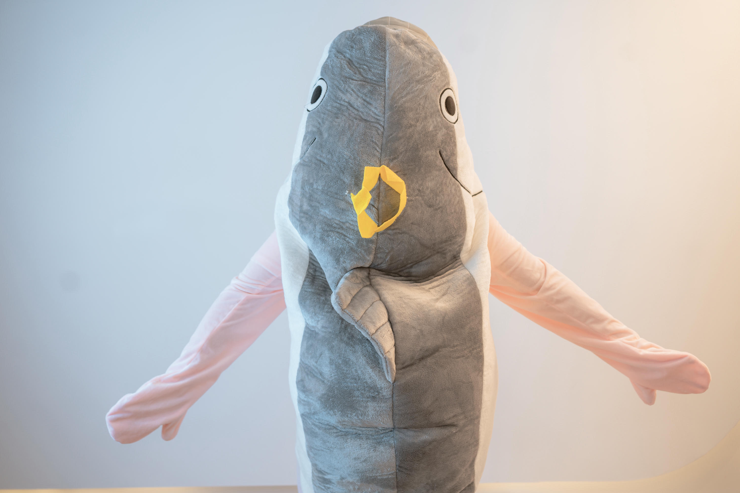 爆机少女喵小吉 NO.028 超合金！！咸鱼外骨骼装甲！！ [63P 6V 4.64GB]-Pic_第4集