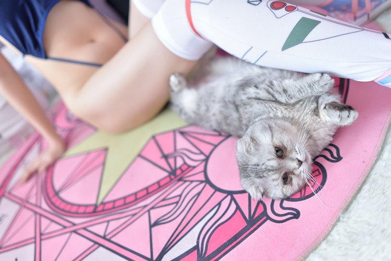 NAGESA魔物喵 NO.000 杂图 [2114P3V 736M]-Tw [172P 3V 46M]_第7集