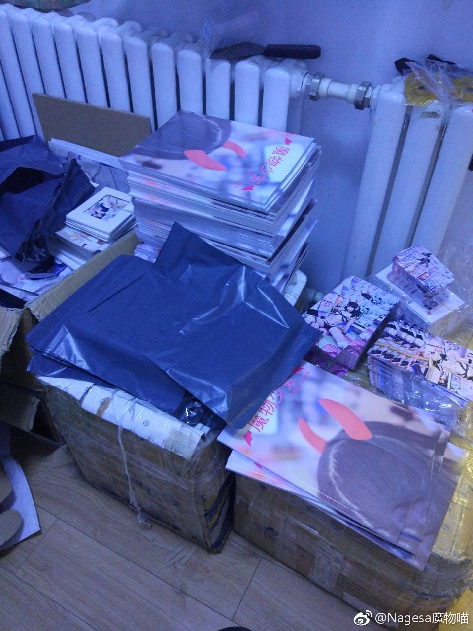 NAGESA魔物喵 NO.000 杂图 [2114P3V 736M]-Tw [172P 3V 46M]_第5集