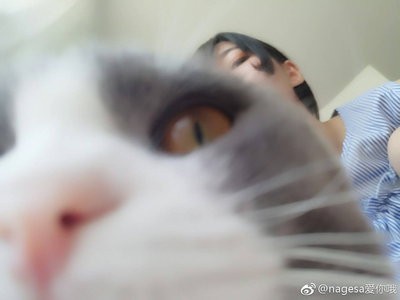 NAGESA魔物喵 NO.000 杂图 [2114P3V 736M]-Tw [172P 3V 46M]_第5集