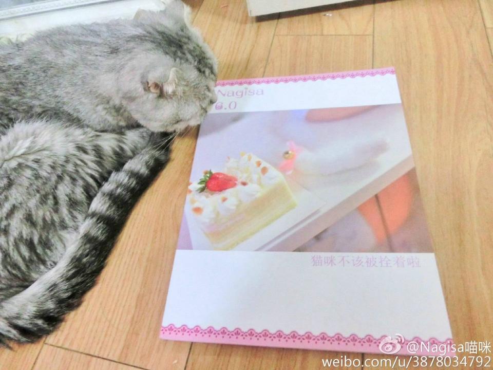 NAGESA魔物喵 NO.000 杂图 [2114P3V 736M]-微博杂图2 [963 84M]_第11集