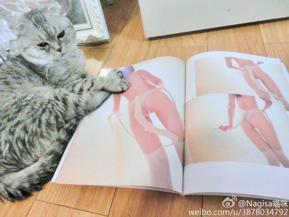 NAGESA魔物喵 NO.000 杂图 [2114P3V 736M]-微博杂图2 [963 84M]_第11集
