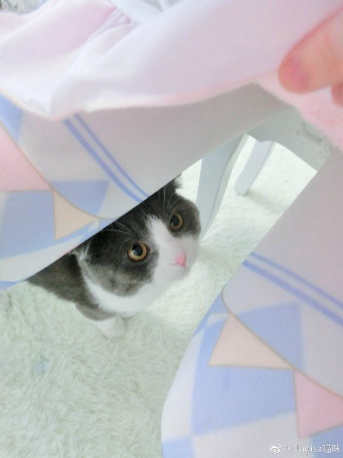 NAGESA魔物喵 NO.000 杂图 [2114P3V 736M]-微博杂图2 [963 84M]_第43集