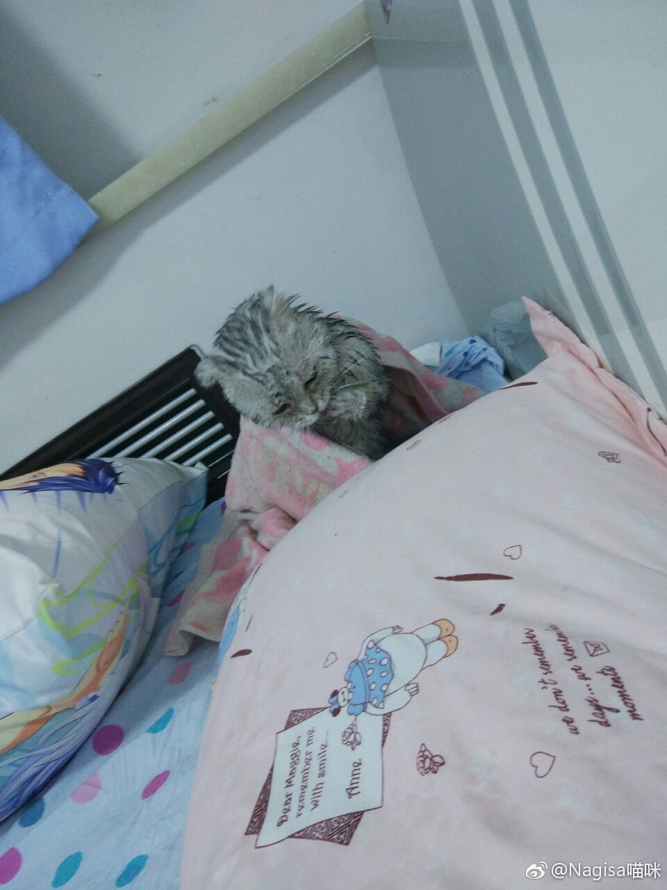 NAGESA魔物喵 NO.000 杂图 [2114P3V 736M]-微博杂图3 [400P 262M]_第15集