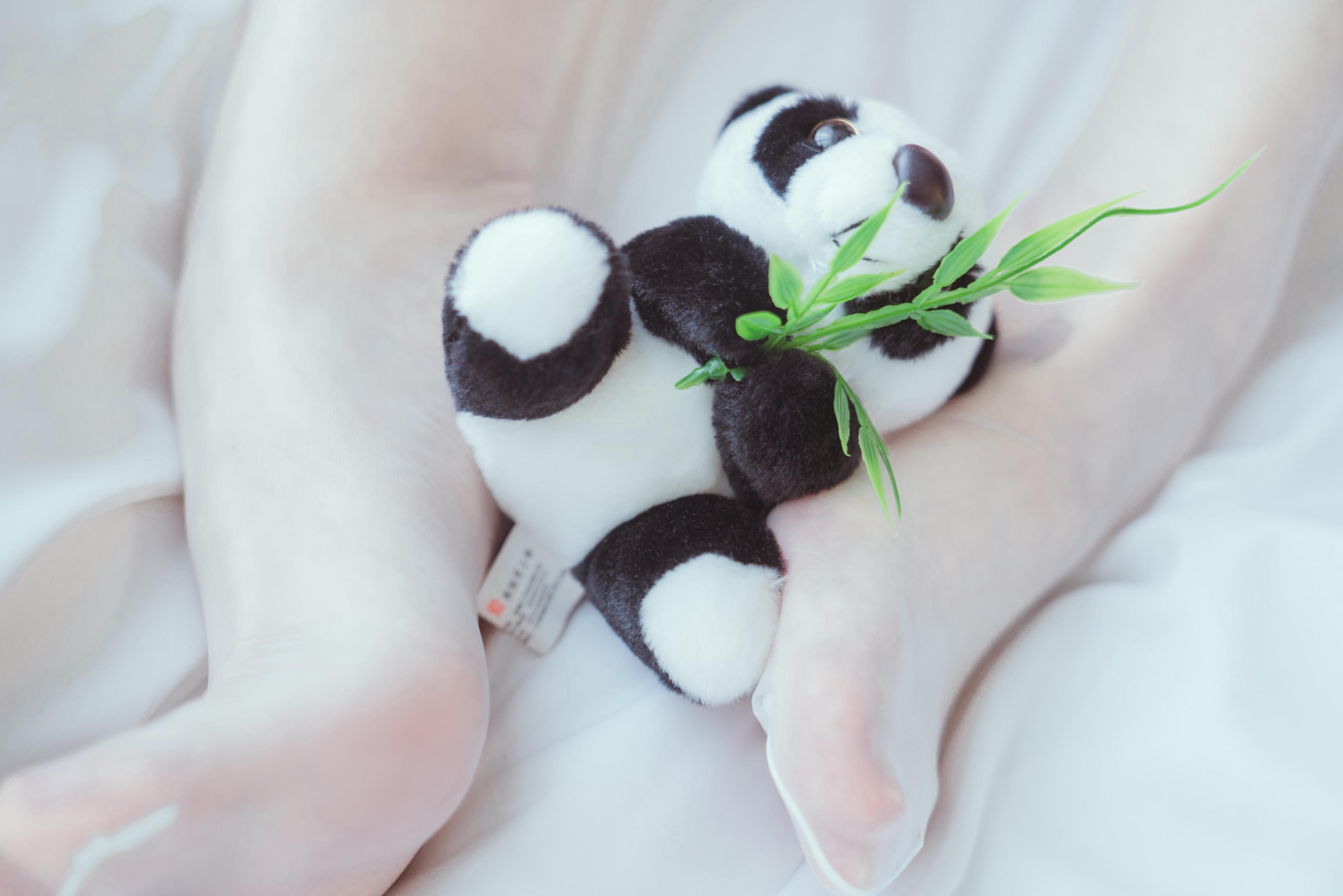 Natsuko夏夏子 NO.034 熊猫女仆64P1V [48P-1V 372.06 MB]_第1集