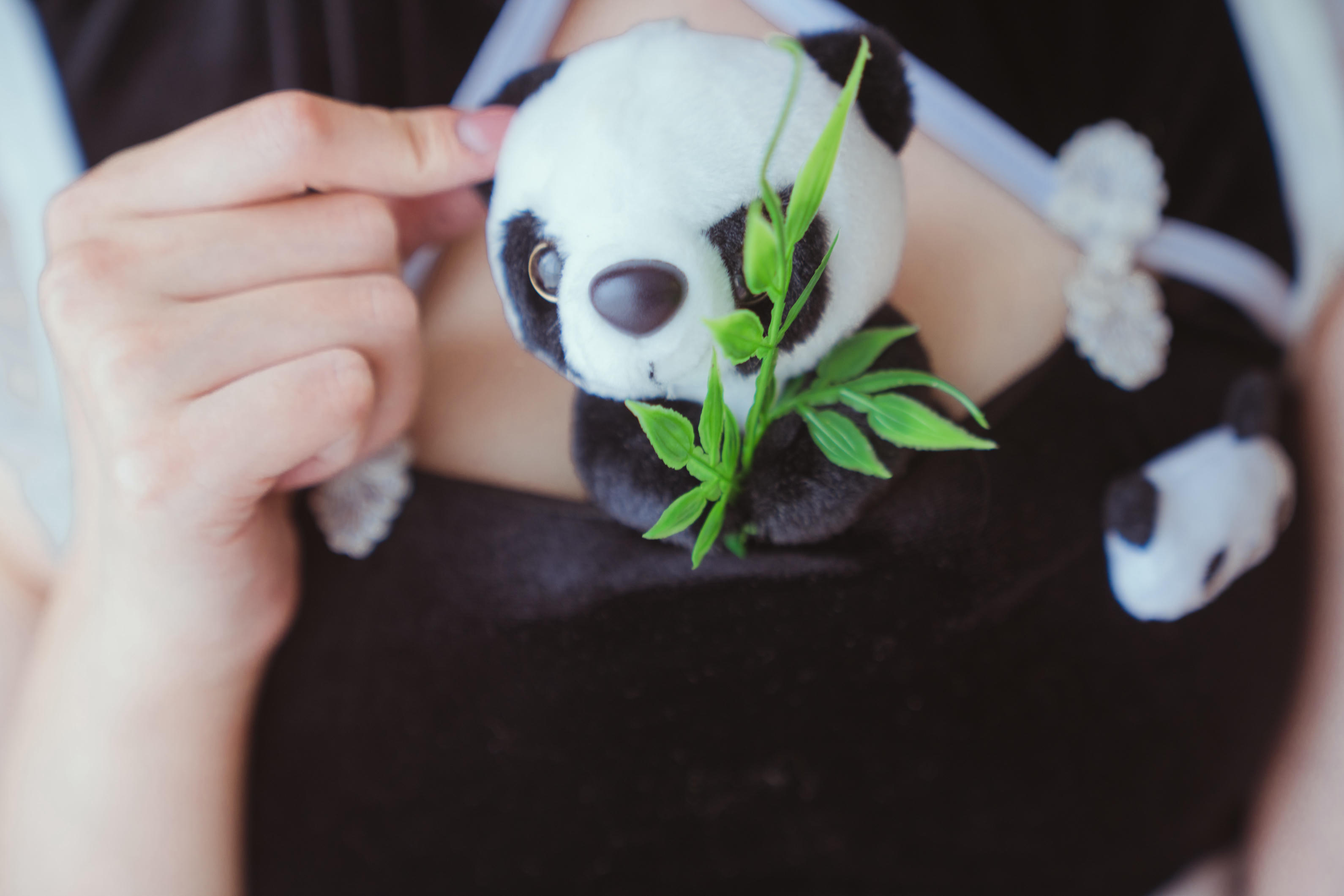 Natsuko夏夏子 NO.034 熊猫女仆64P1V [48P-1V 372.06 MB]_第1集