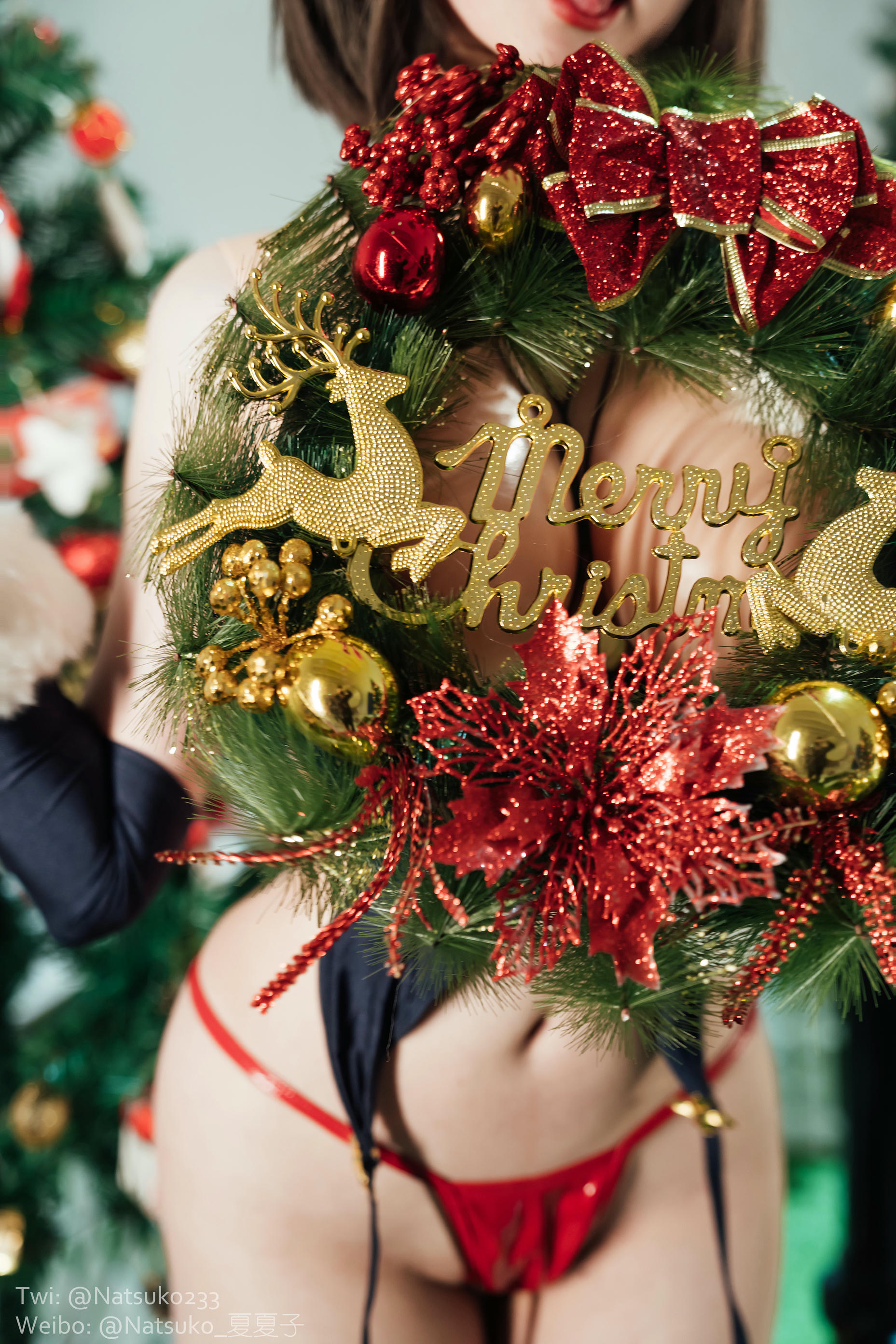 Natsuko夏夏子 NO.041 圣诞魔太郎 [40P1V-537MB]_第2集