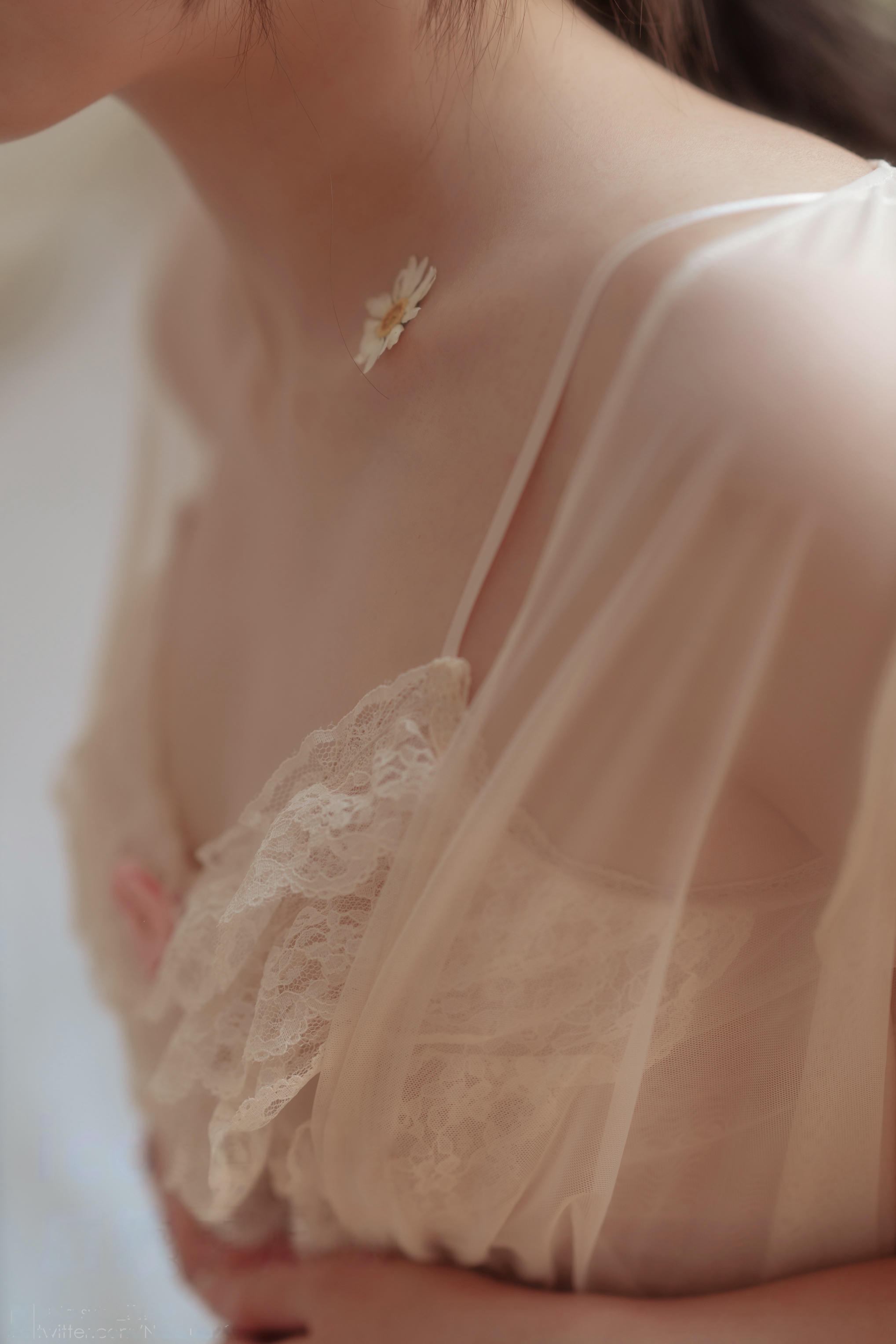 Natsuko夏夏子 NO.055 雏菊[43P-114.5M]_第2集