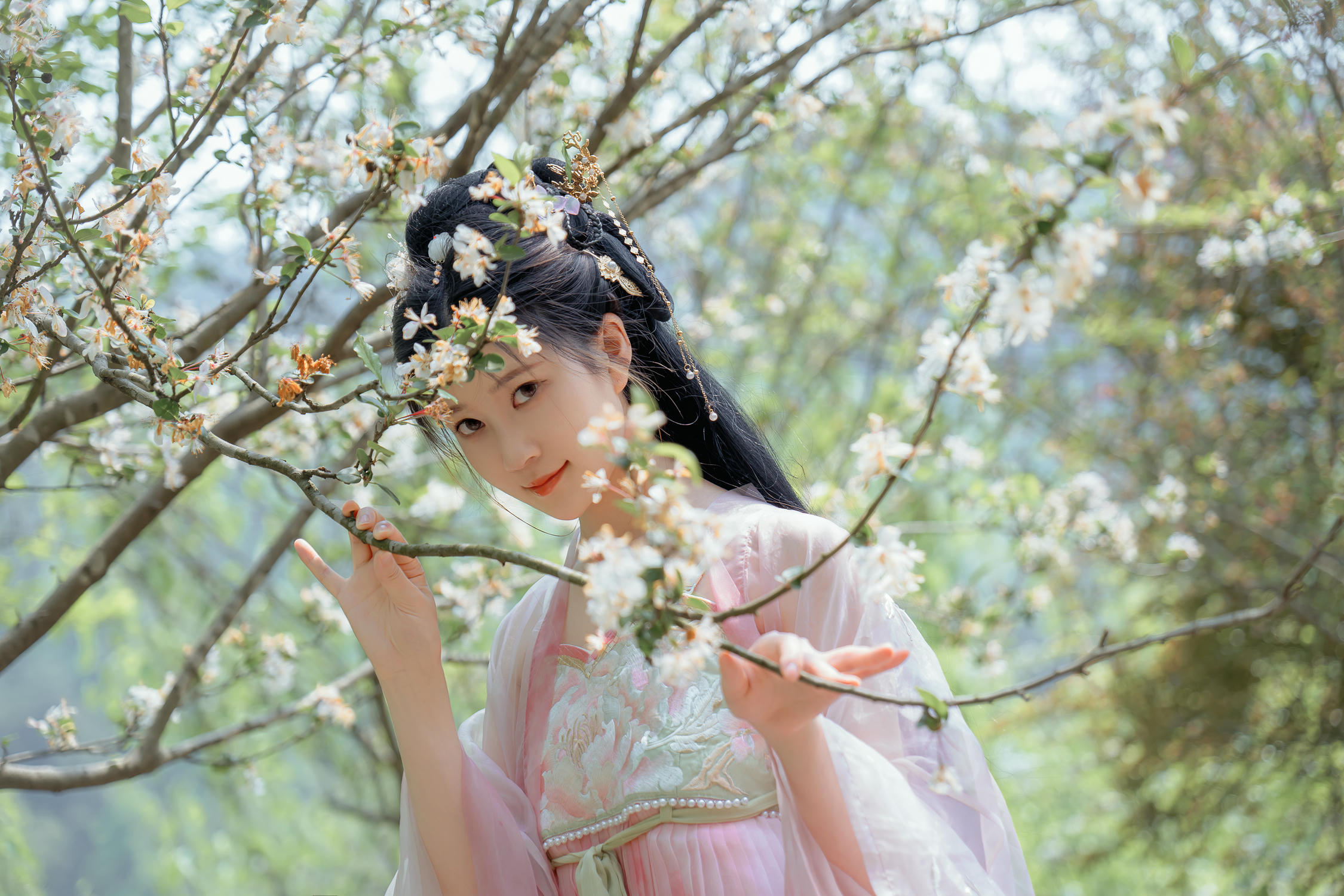 年年 NO.125 海棠仙[84P 342.4M]_第2集